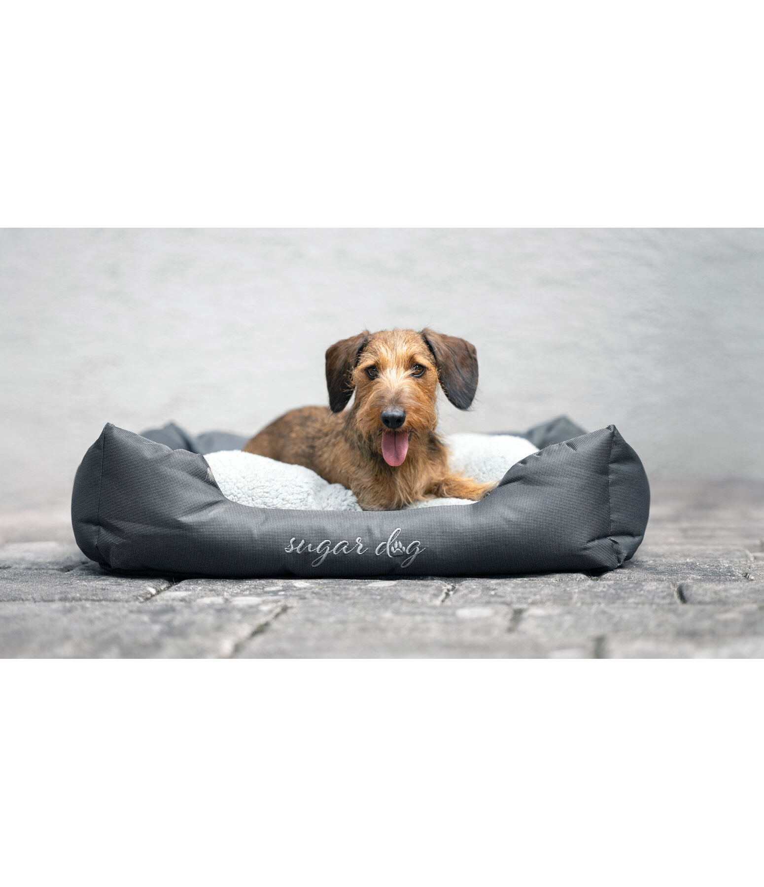 Panier pour chien  Dreamy