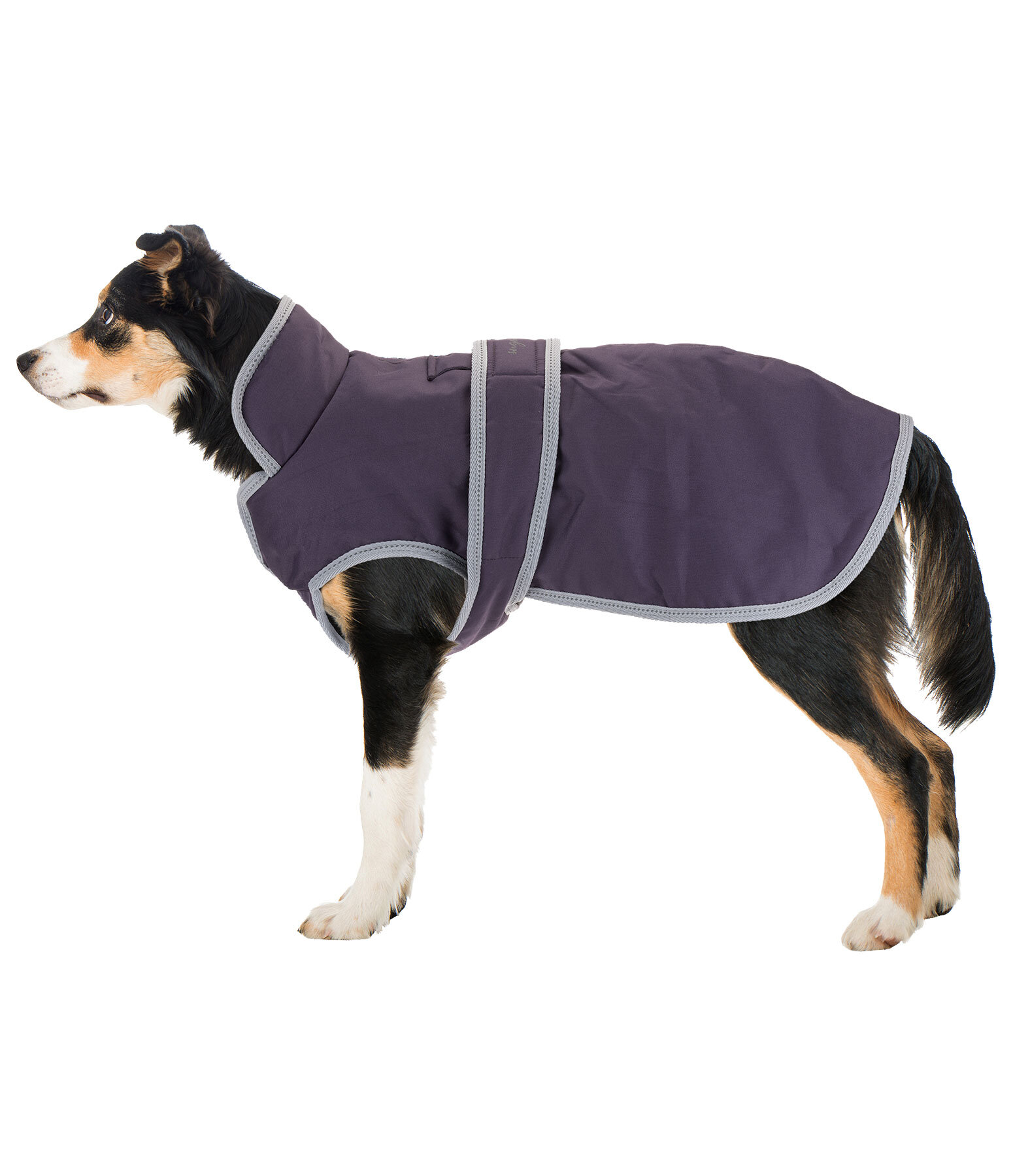 Manteau pour chien avec doublure polaire  Eddie 200 g