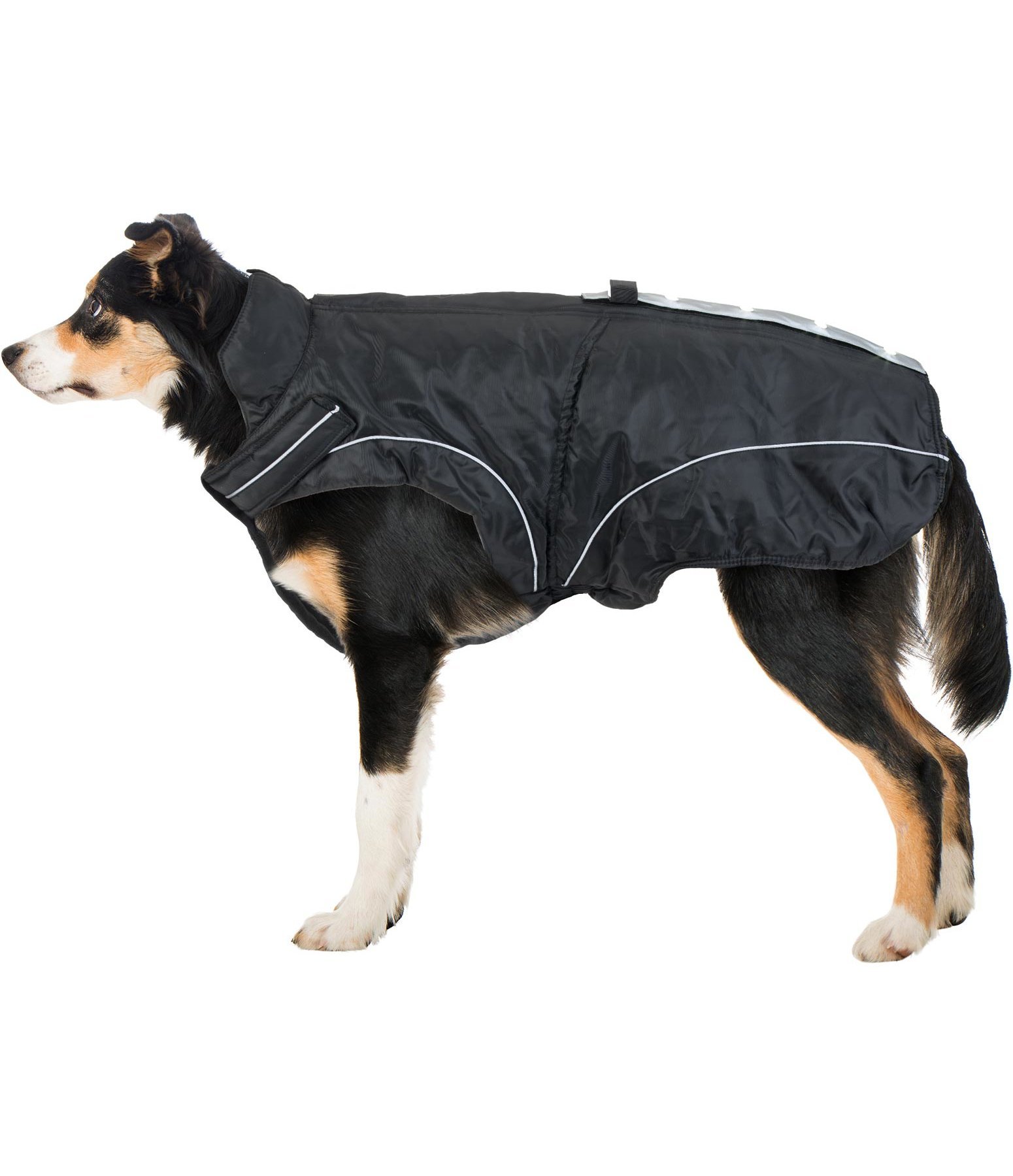 Manteau d'hiver réfléchissant pour chiens  avec lampes LED  by DogBite