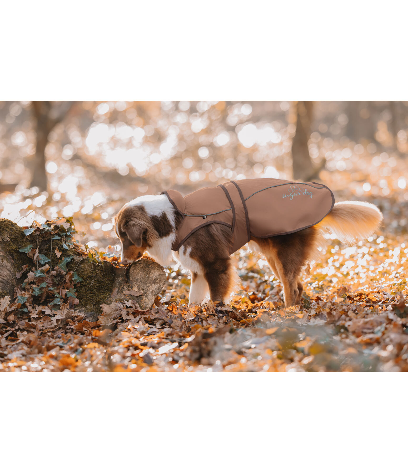 Manteau pour chien 2 en 1  Ally
