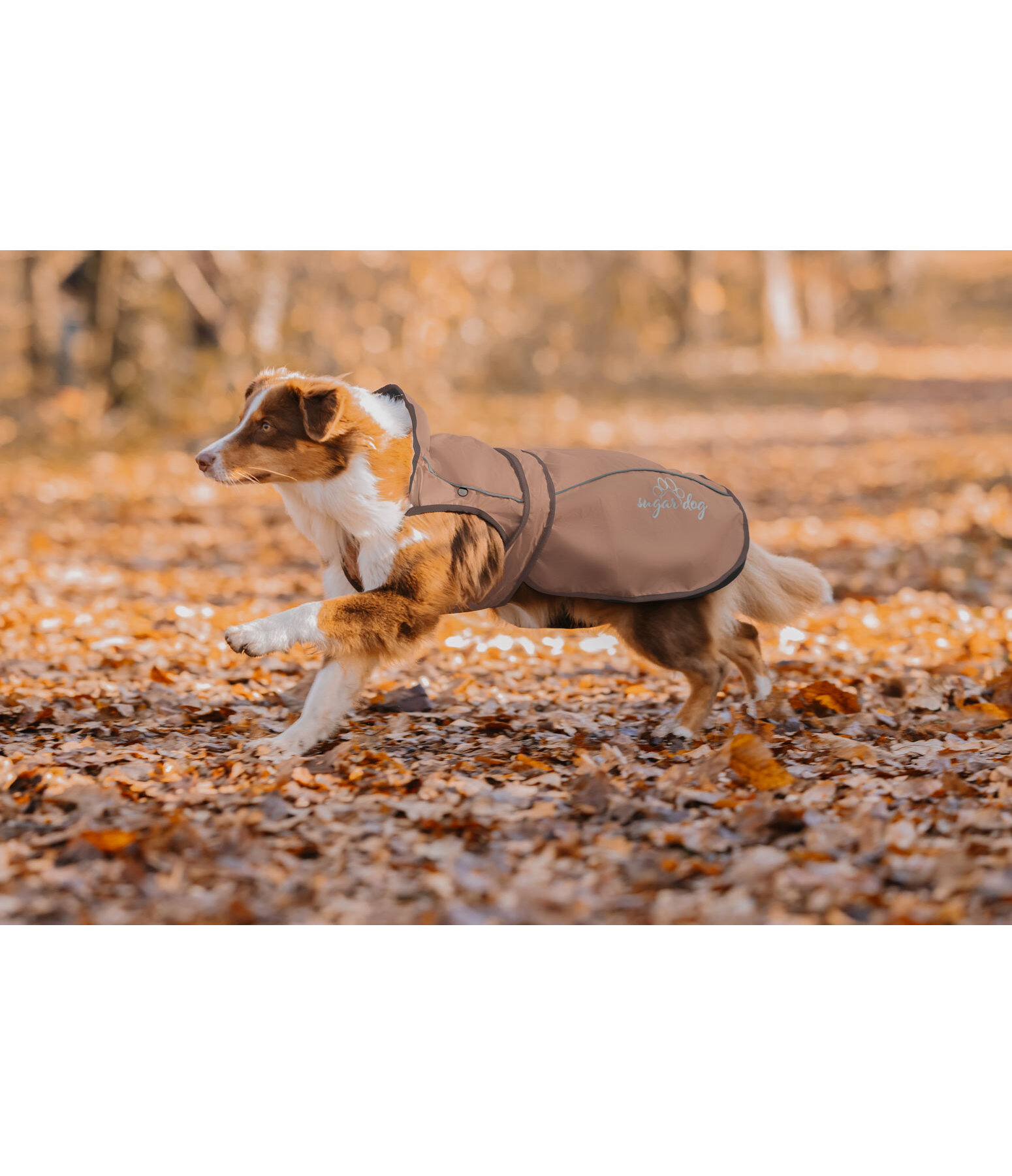 Manteau pour chien 2 en 1  Ally