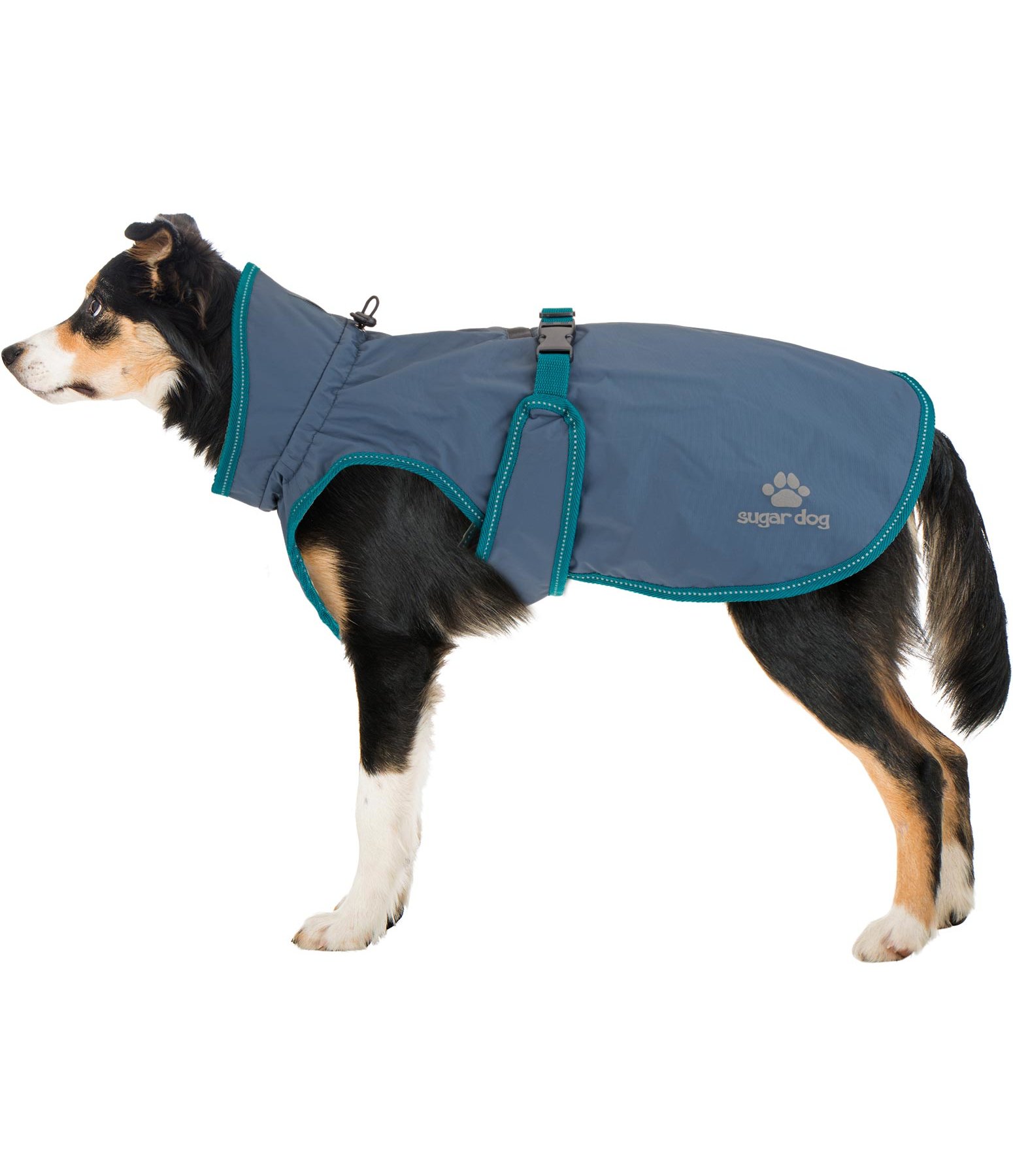 Manteau De Pluie Pour Chien Maxi Zoo