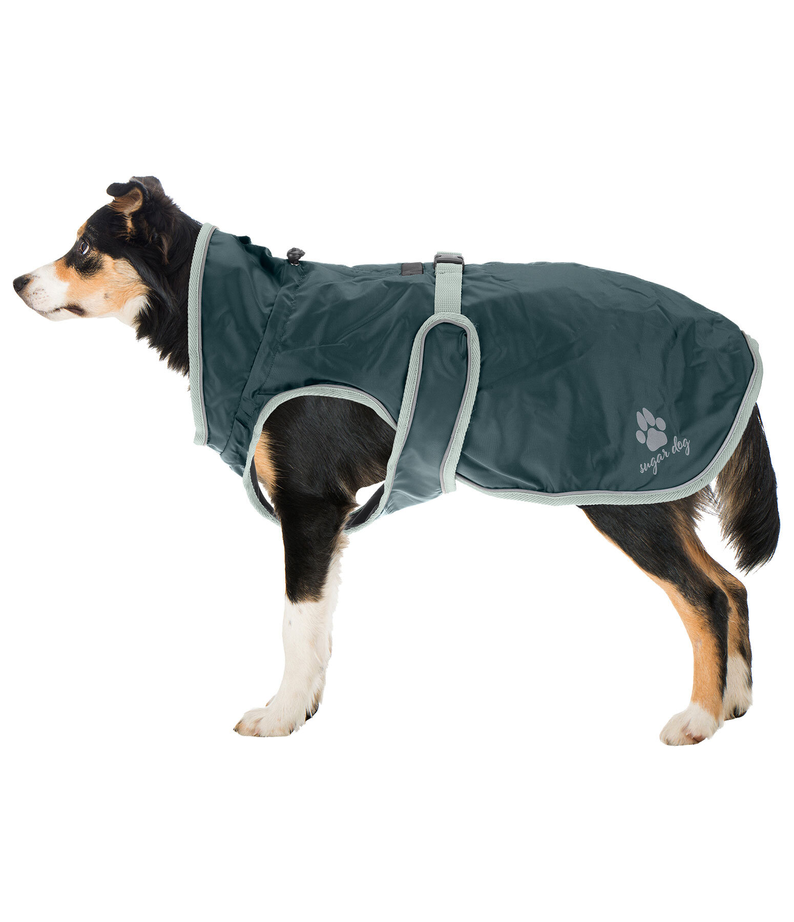 Manteau de pluie pour chien  Eldoro II avec doublure intrieure en polaire, 0g