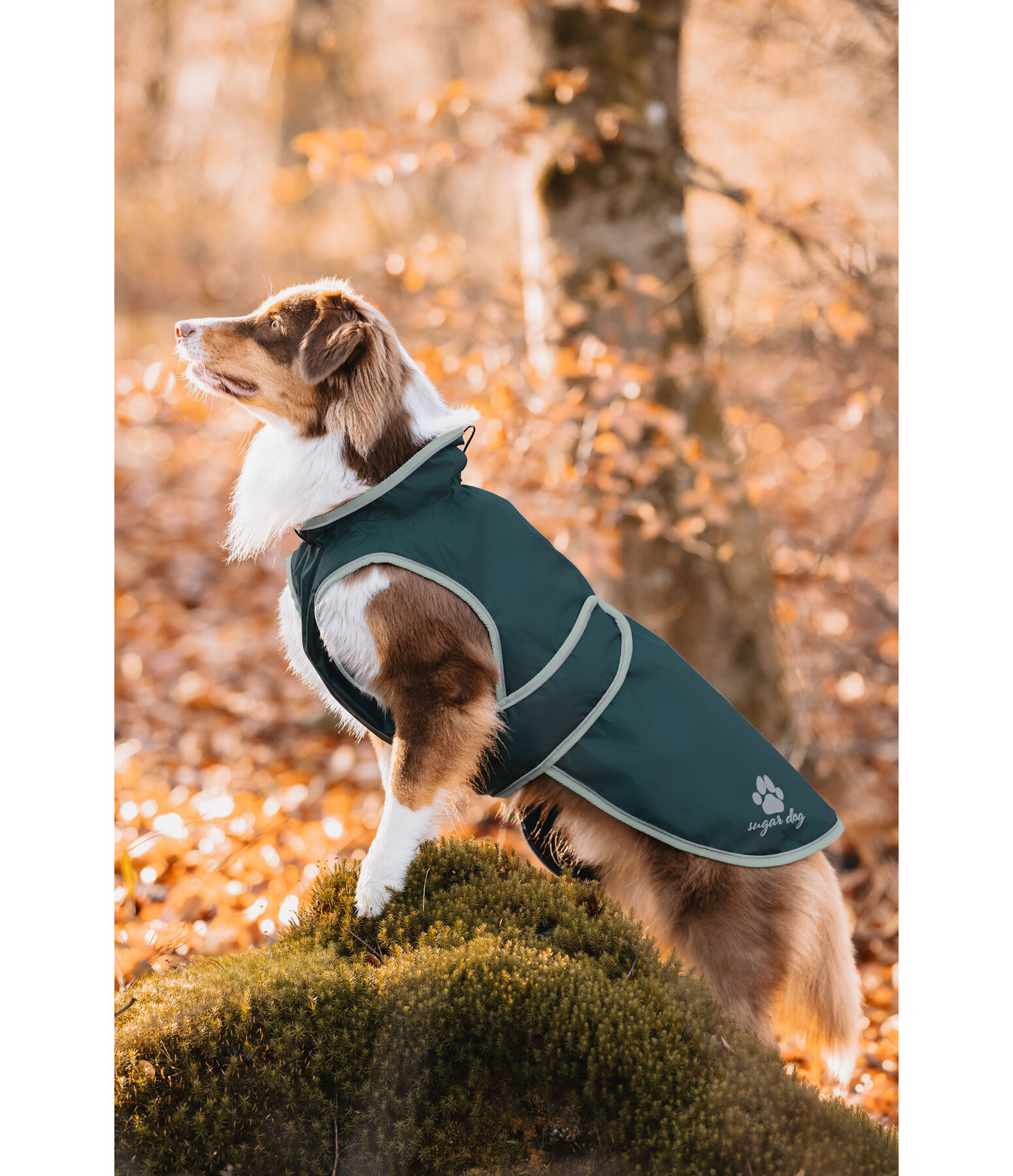 Manteau de pluie pour chien  Eldoro II avec doublure intrieure en polaire, 0g
