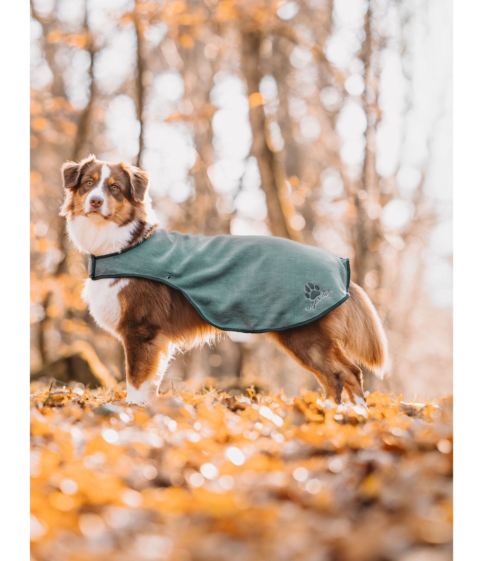 Manteau de pluie pour chien  Eldoro II avec doublure intrieure en polaire, 0g