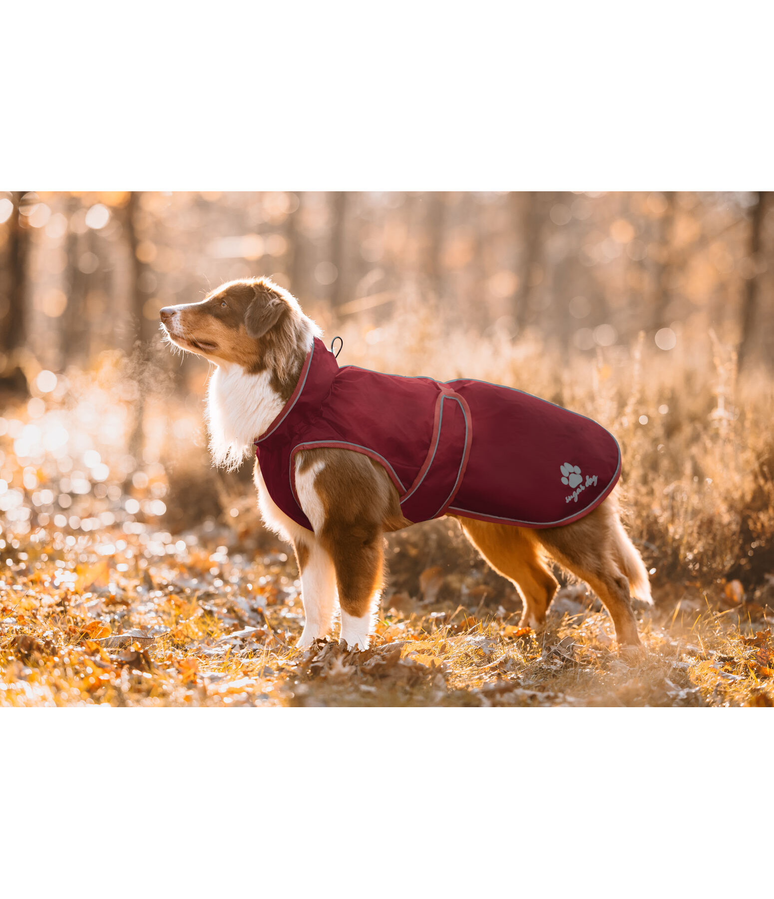 Manteau de pluie pour chien  Eldoro II avec doublure intrieure en polaire, 0g
