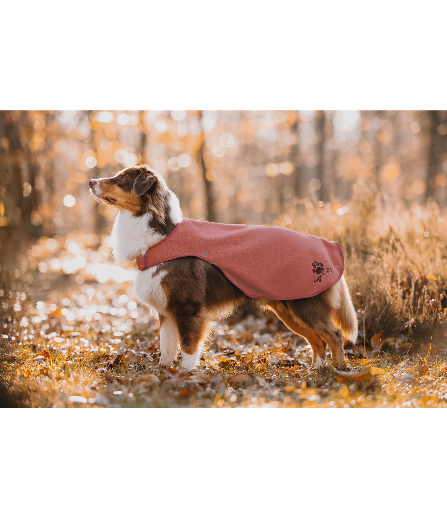 Manteau de pluie pour chien  Eldoro II avec doublure intrieure en polaire, 0g