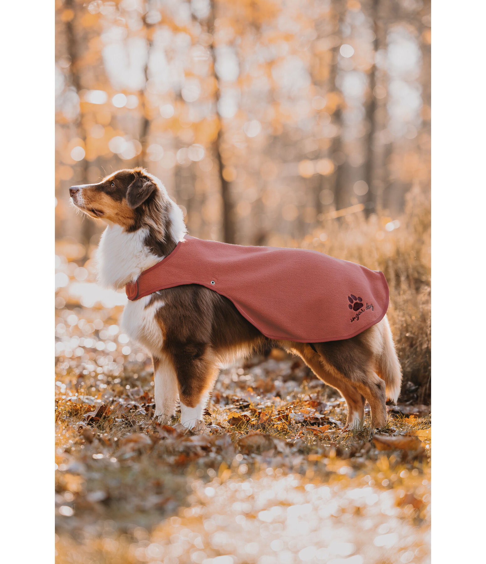Manteau de pluie pour chien  Eldoro II avec doublure intrieure en polaire, 0g