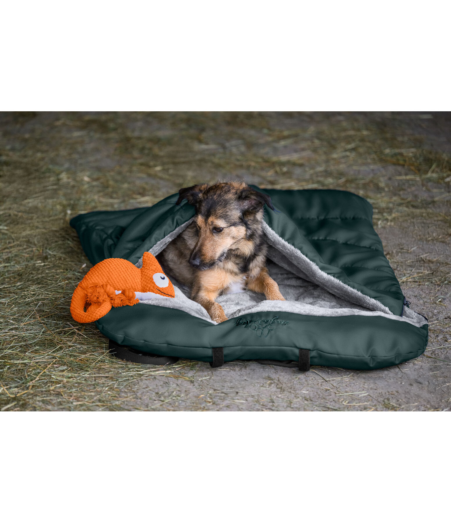 Sac de couchage pour chien  Sirius