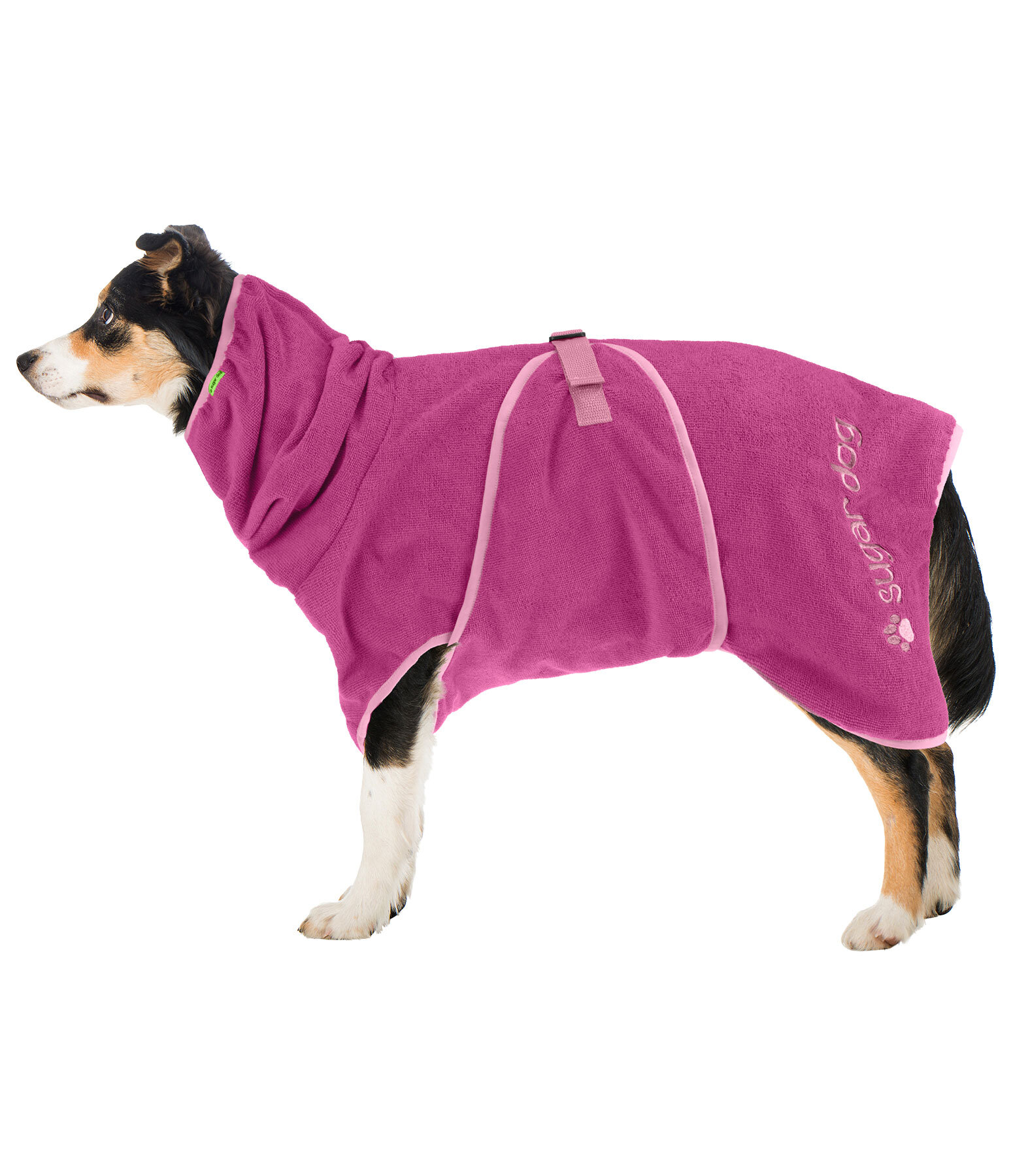 Chemise s�chante pour chien  Dry Dog II