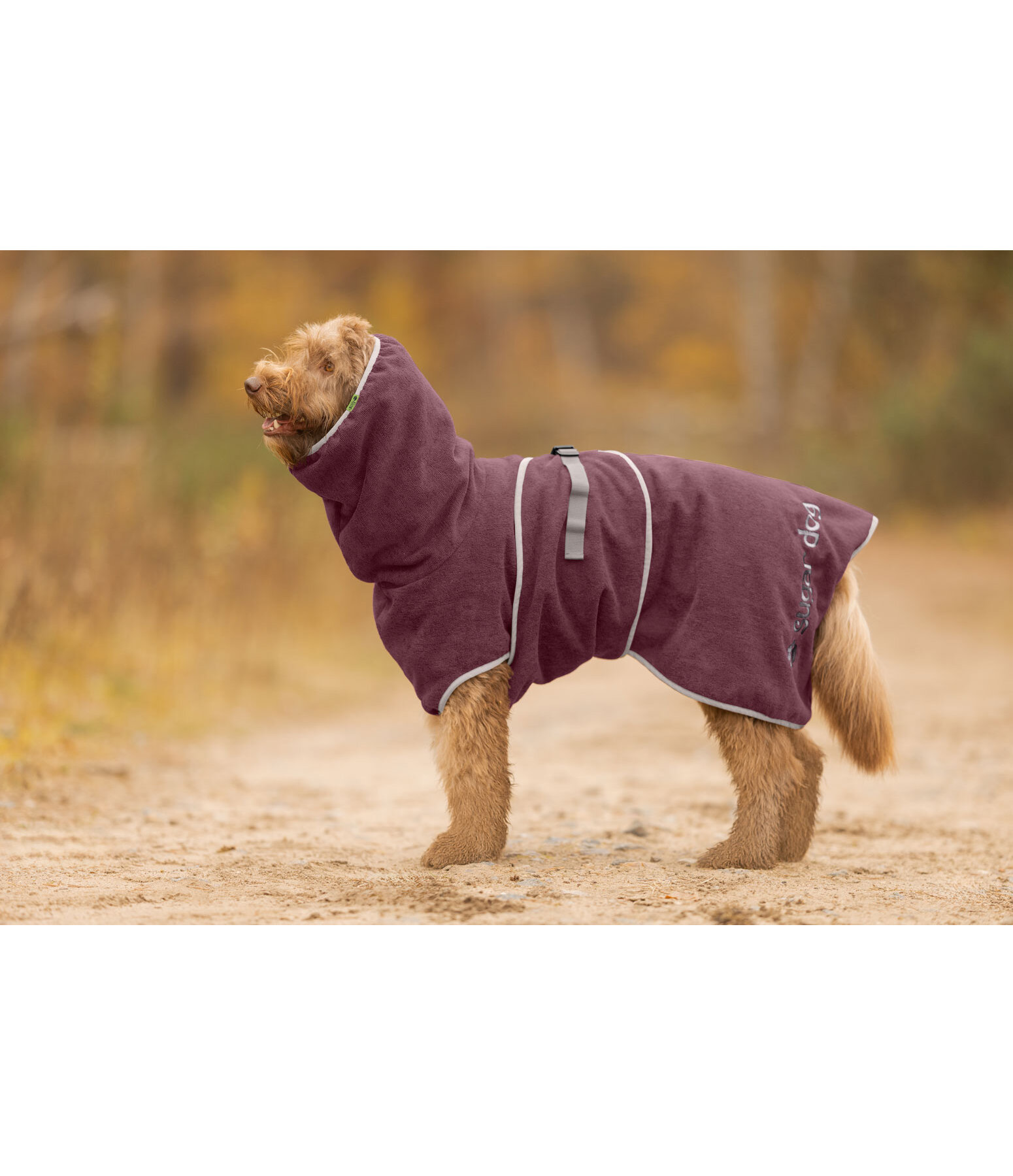 Chemise s�chante pour chien  Dry Dog II