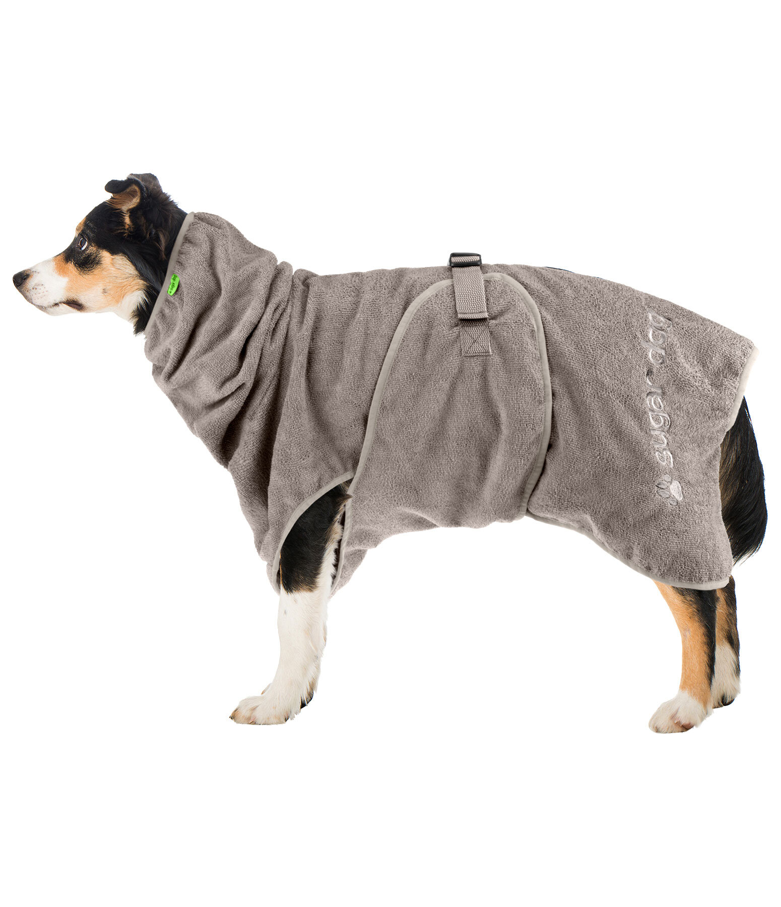 Chemise s�chante pour chien  Dry Dog II