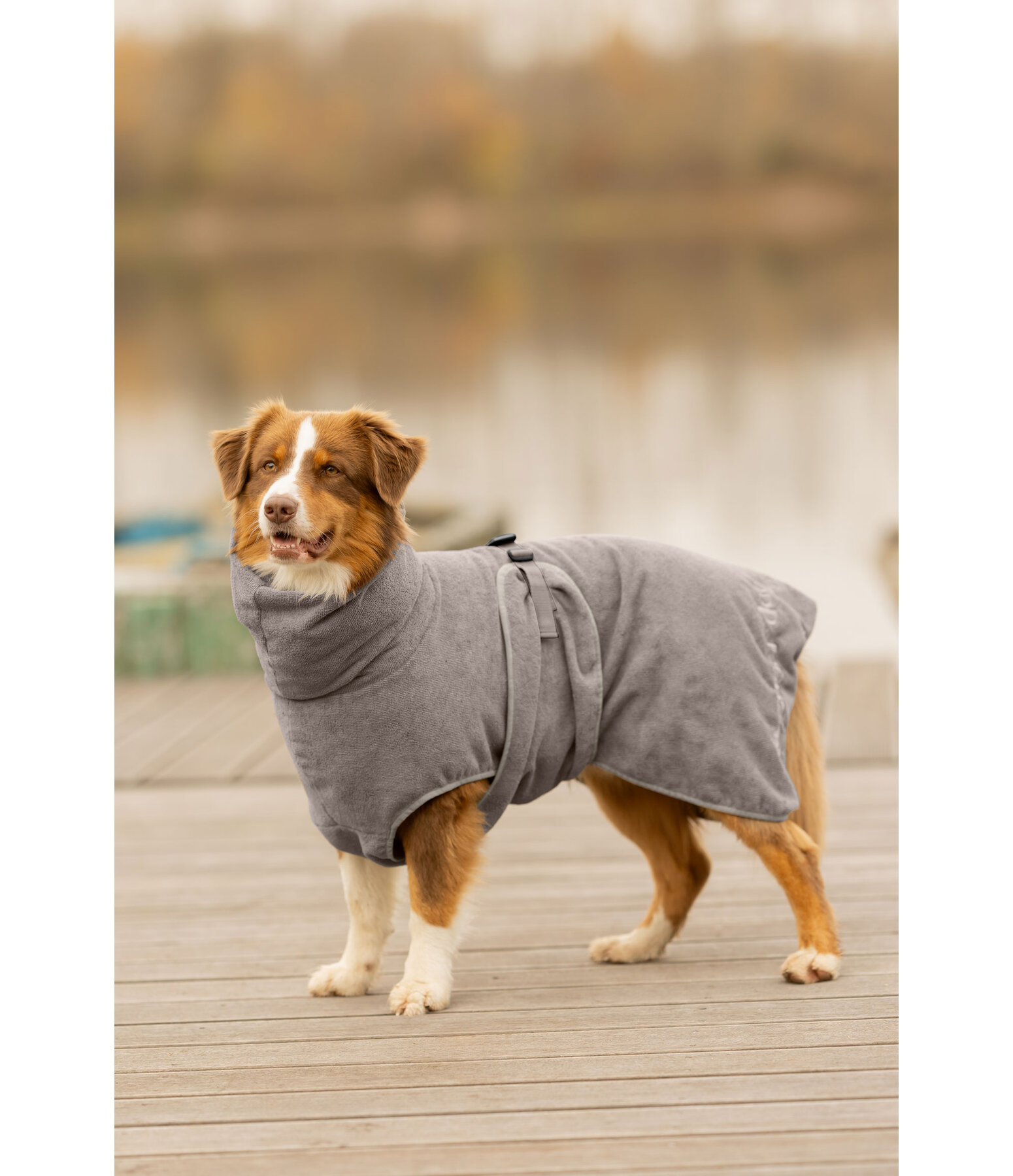 Chemise s�chante pour chien  Dry Dog II