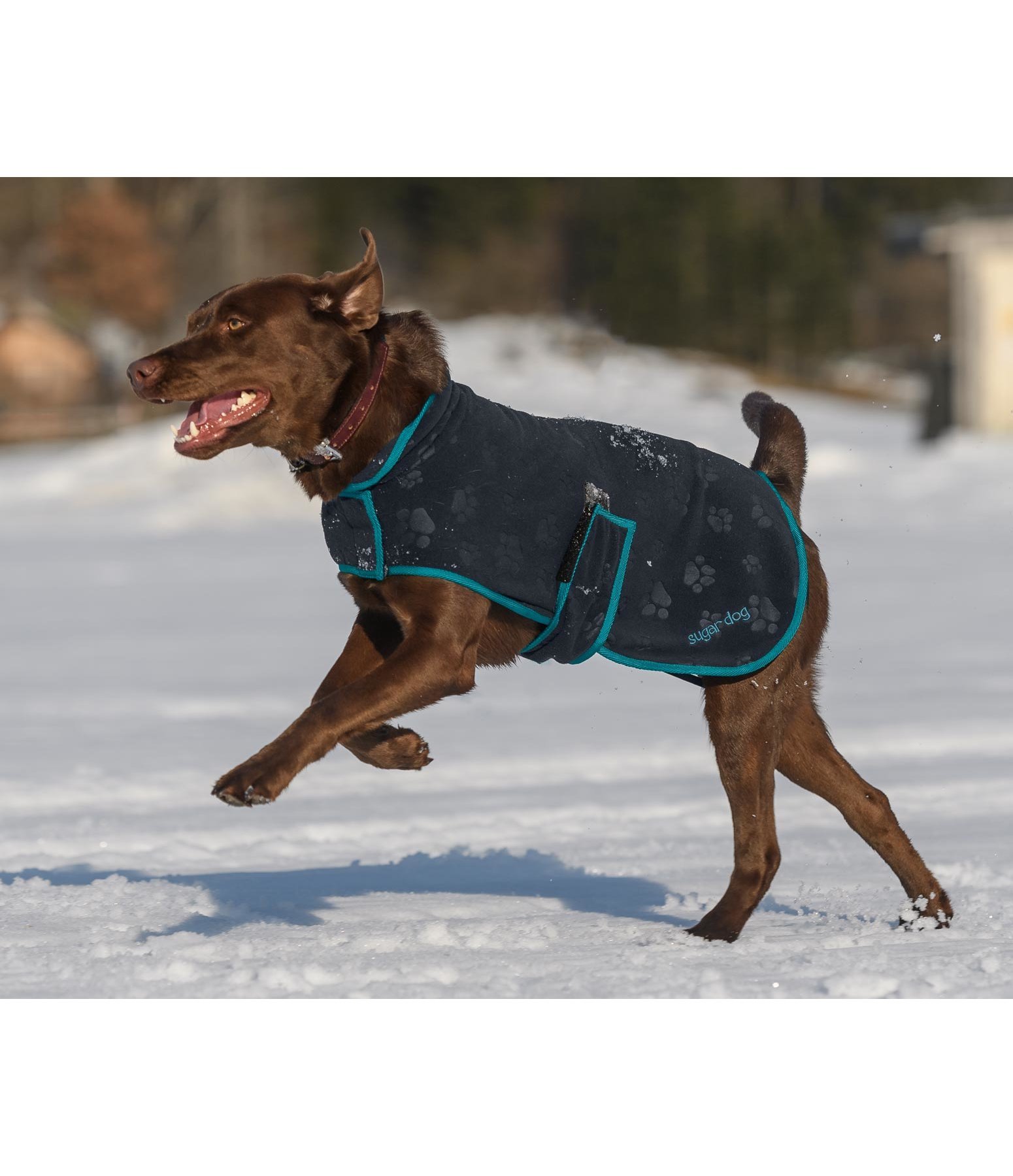 Manteau polaire pour chiens Shelby - Kramer Equitation