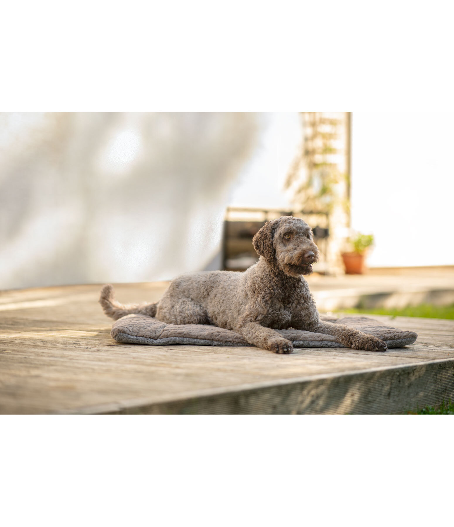 Tapis pour chien  Let Me Sleep