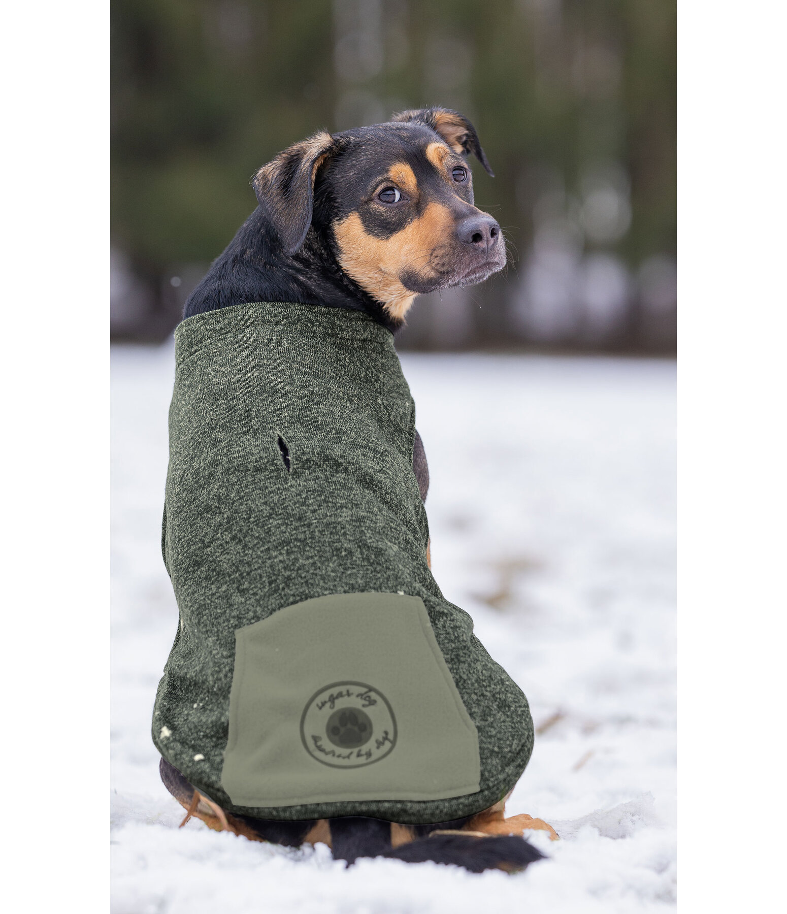 Pull-over pour chien  Seb