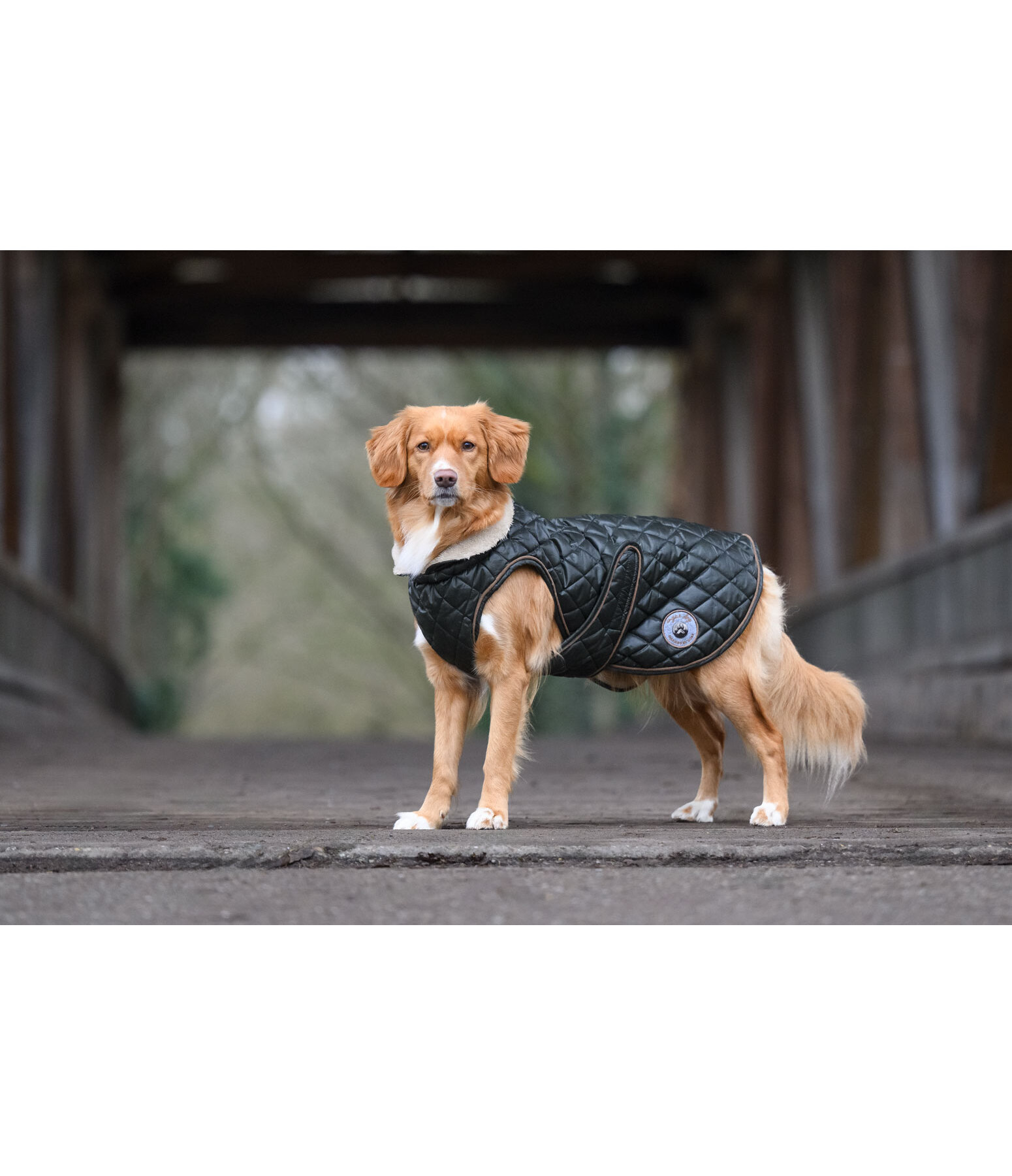 Manteau avec doublure en polaire Teddy pour chien  Archie, 160 g