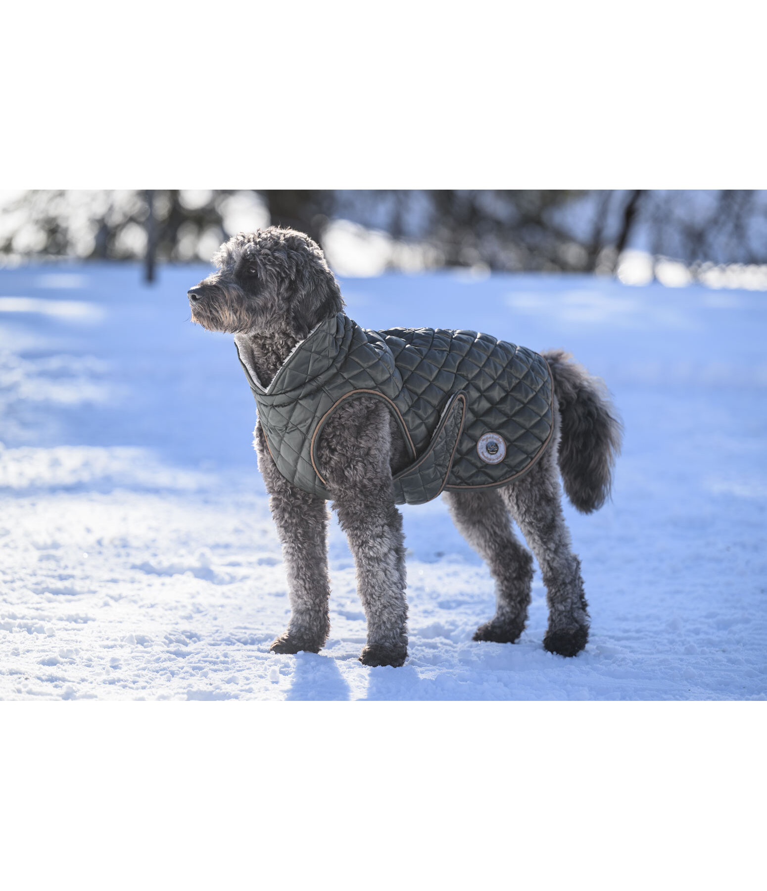 Manteau avec doublure en polaire Teddy pour chien  Archie, 160 g