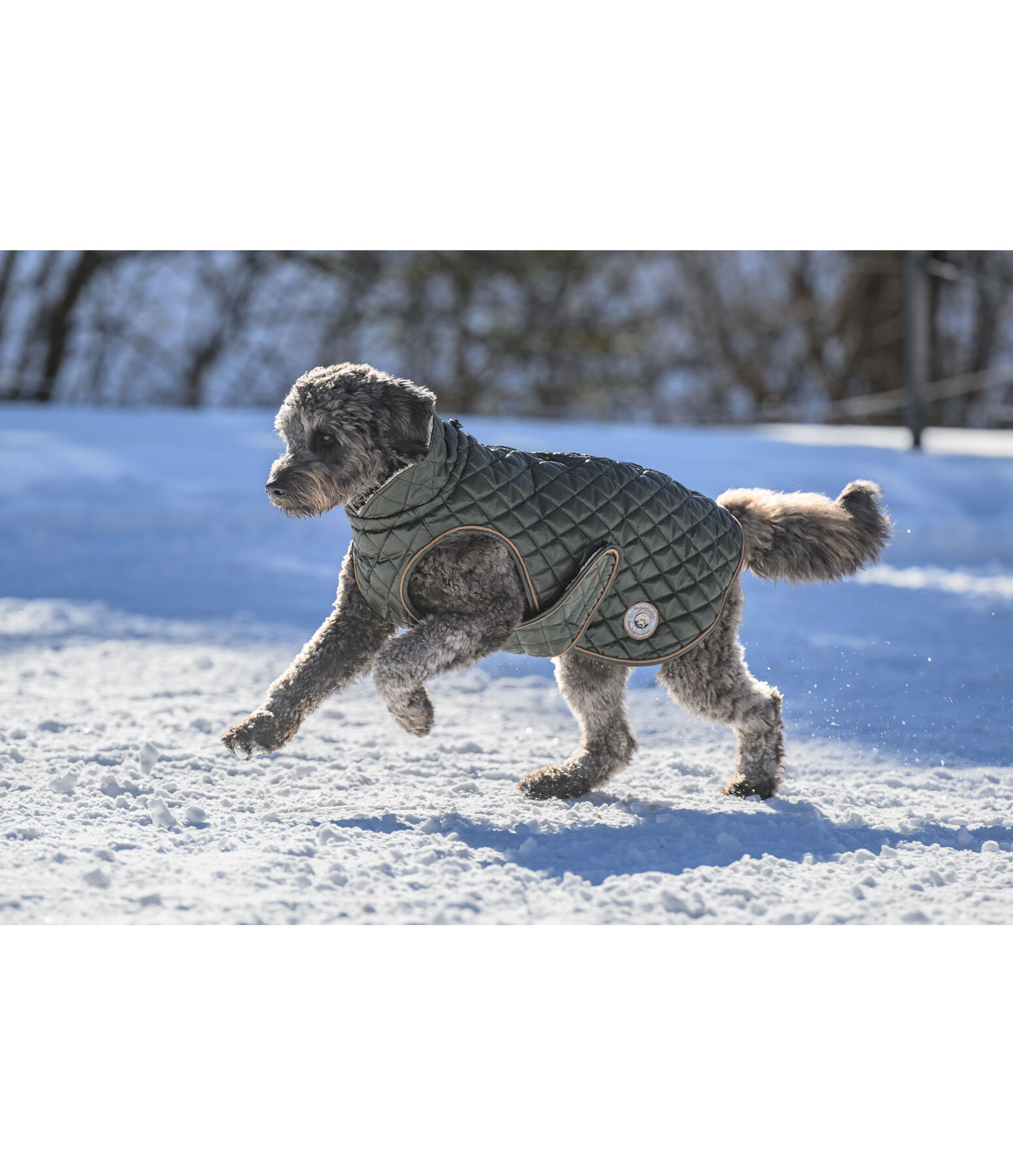 Manteau avec doublure en polaire Teddy pour chien  Archie, 160 g