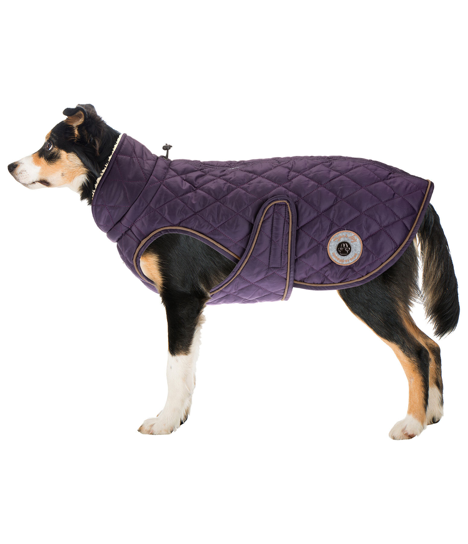 Manteau avec doublure en polaire Teddy pour chien  Archie, 160 g