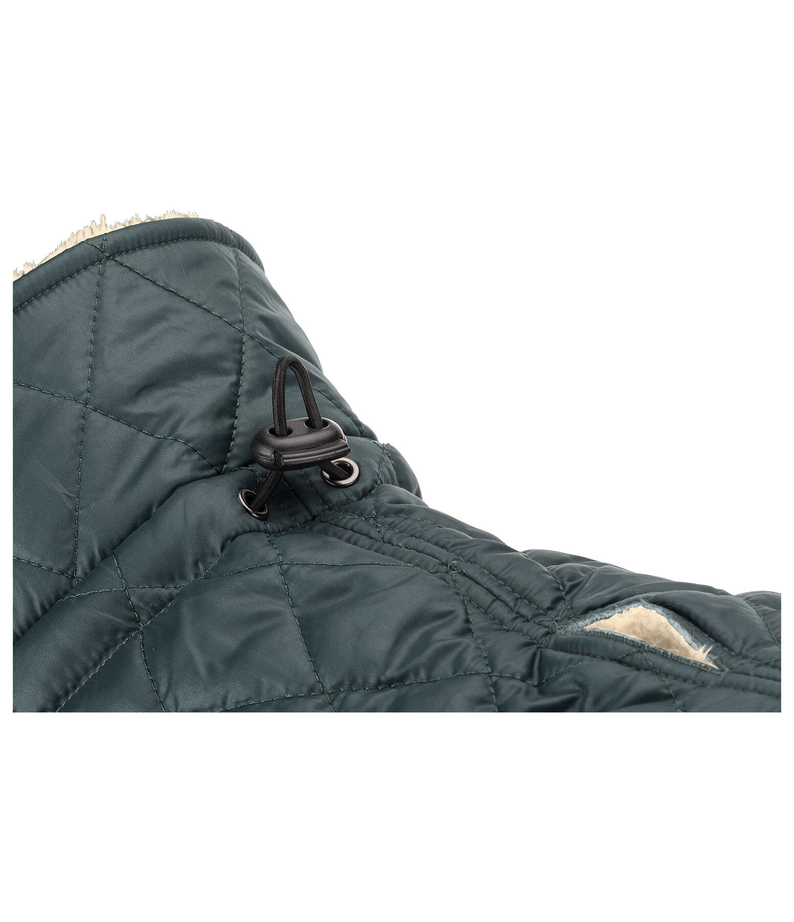 Manteau avec doublure en polaire Teddy pour chien  Archie, 160 g