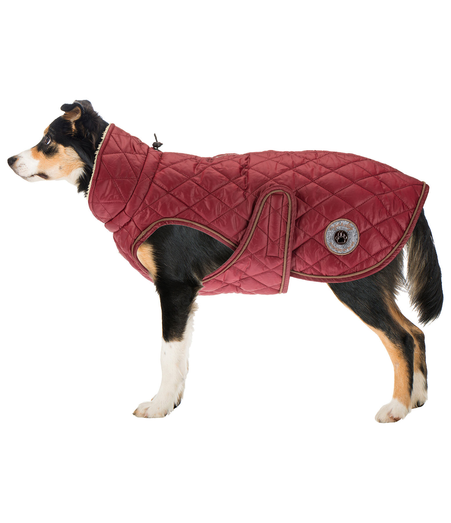 Manteau avec doublure en polaire Teddy pour chien  Archie, 160 g