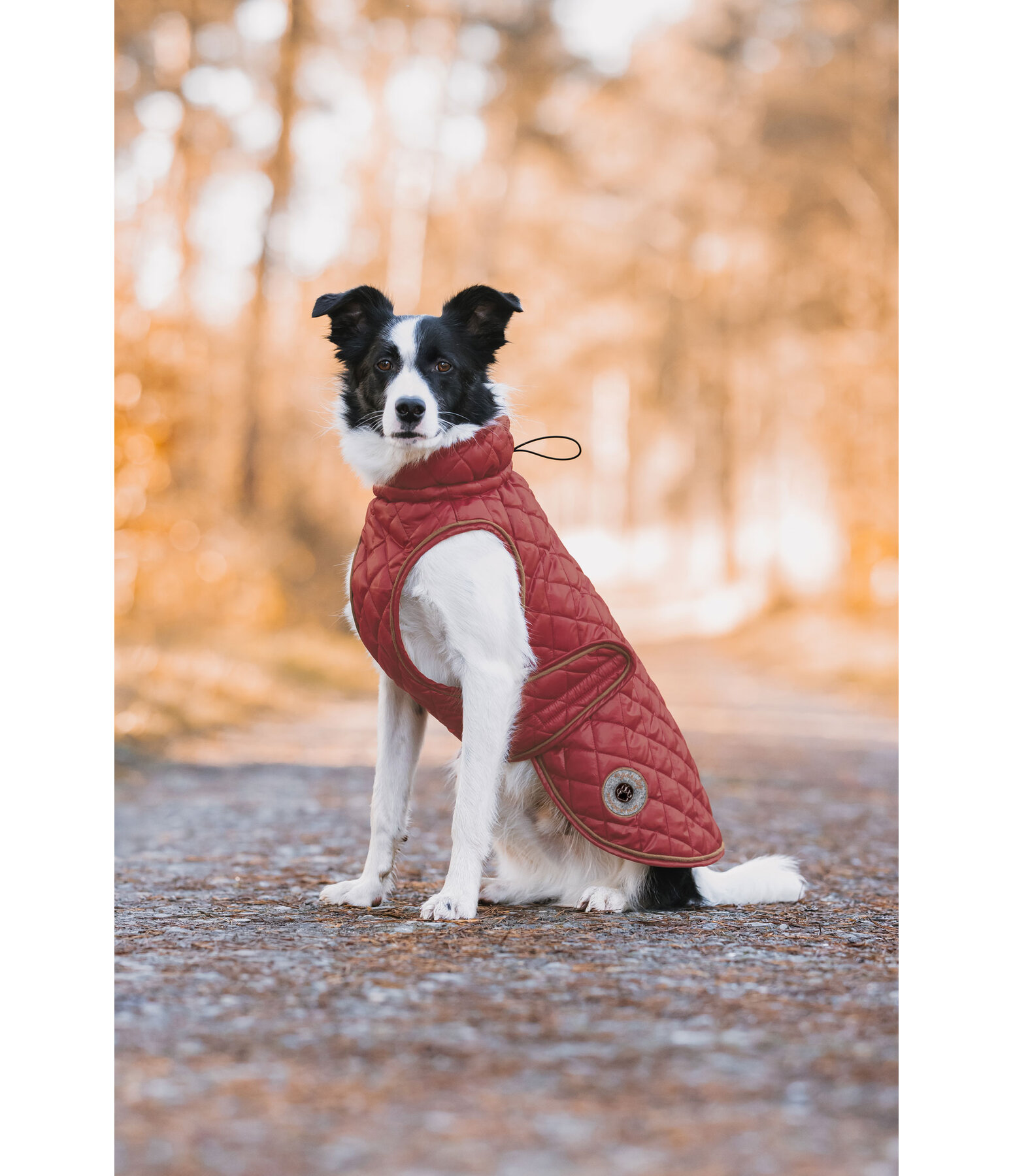 Manteau avec doublure en polaire Teddy pour chien  Archie, 160 g