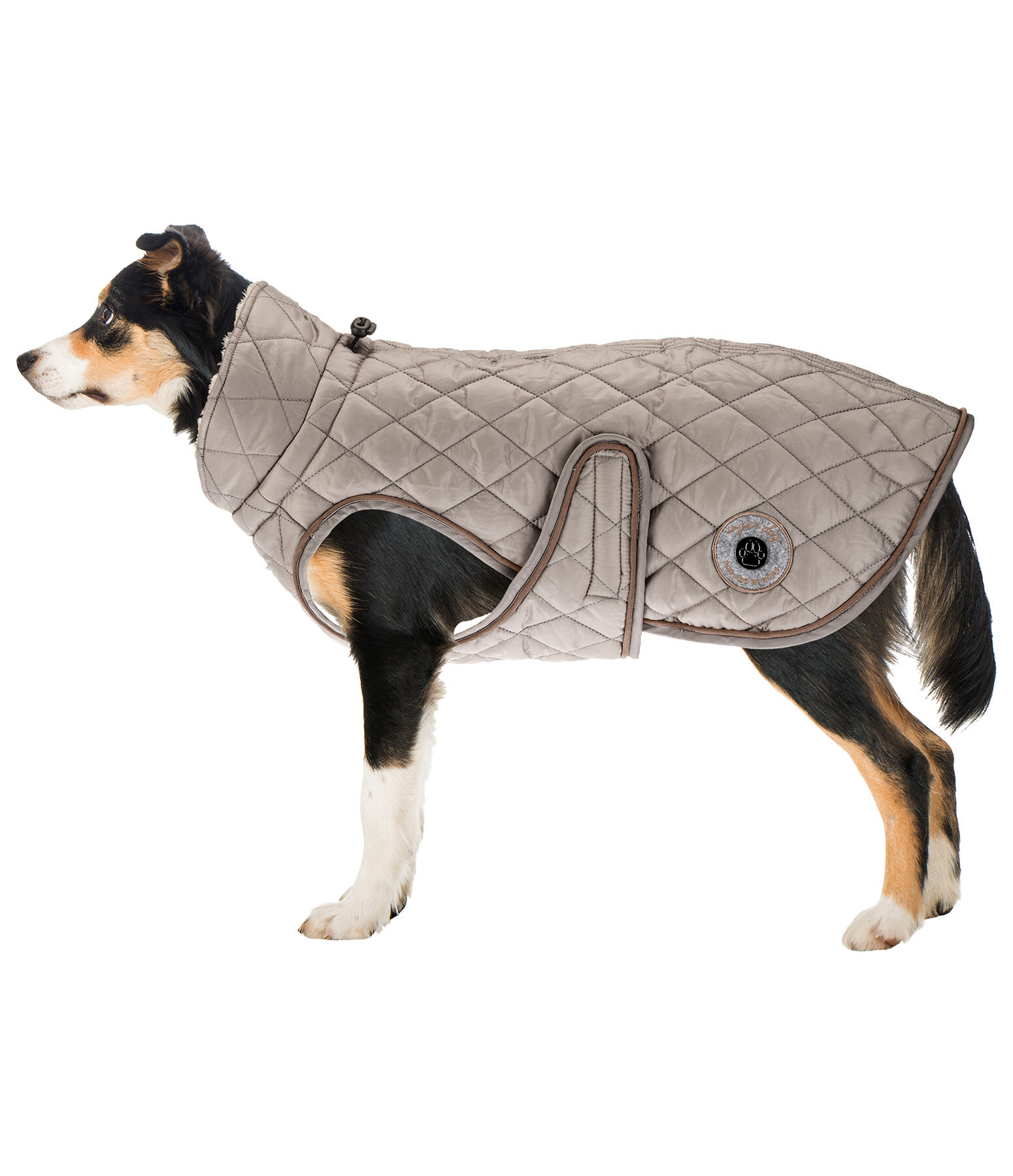 Manteau avec doublure en polaire Teddy pour chien  Archie, 160 g