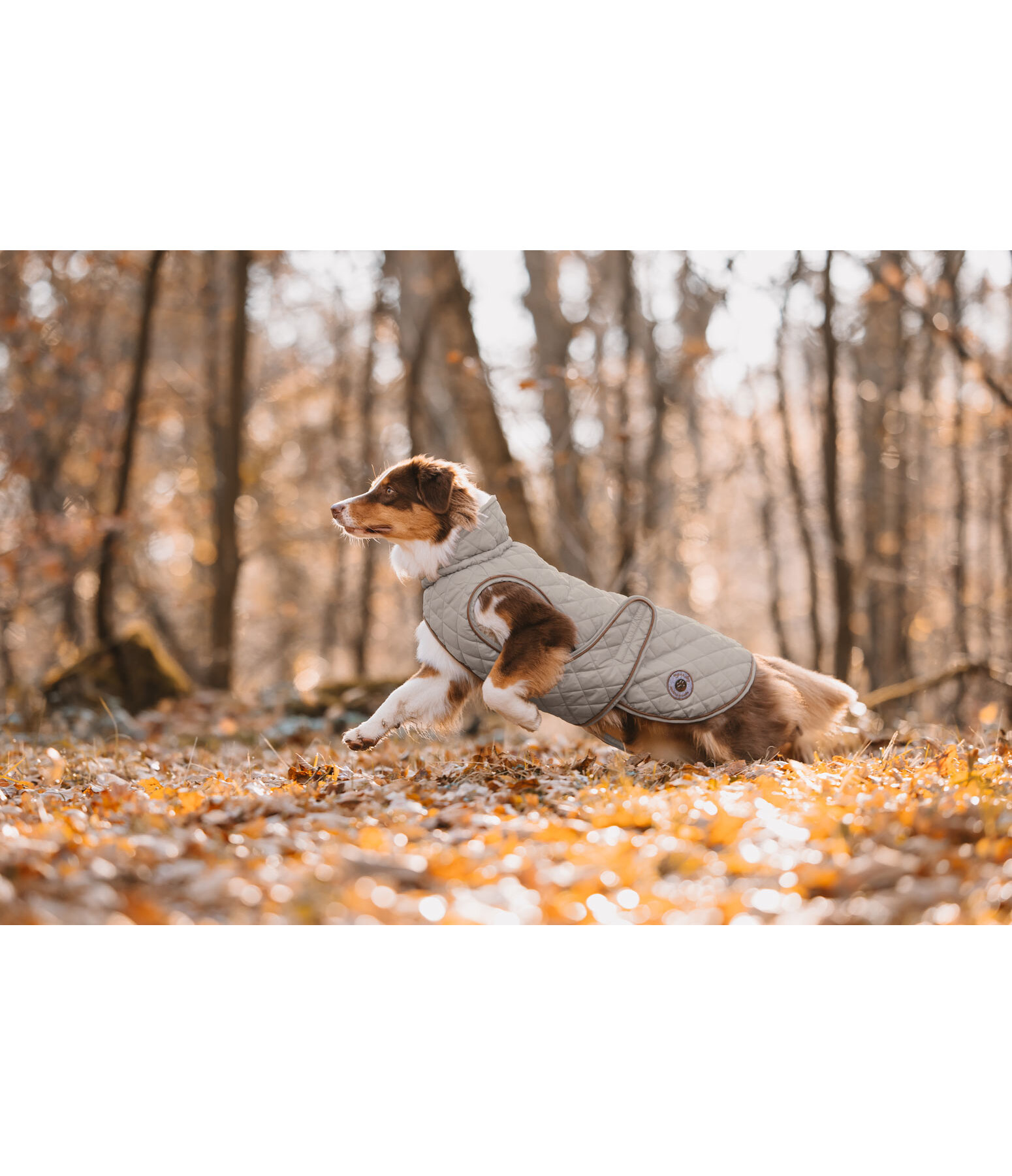 Manteau avec doublure en polaire Teddy pour chien  Archie, 160 g