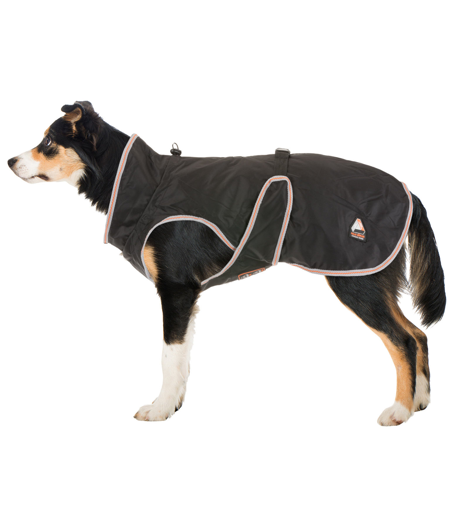 manteau pour chien de marque