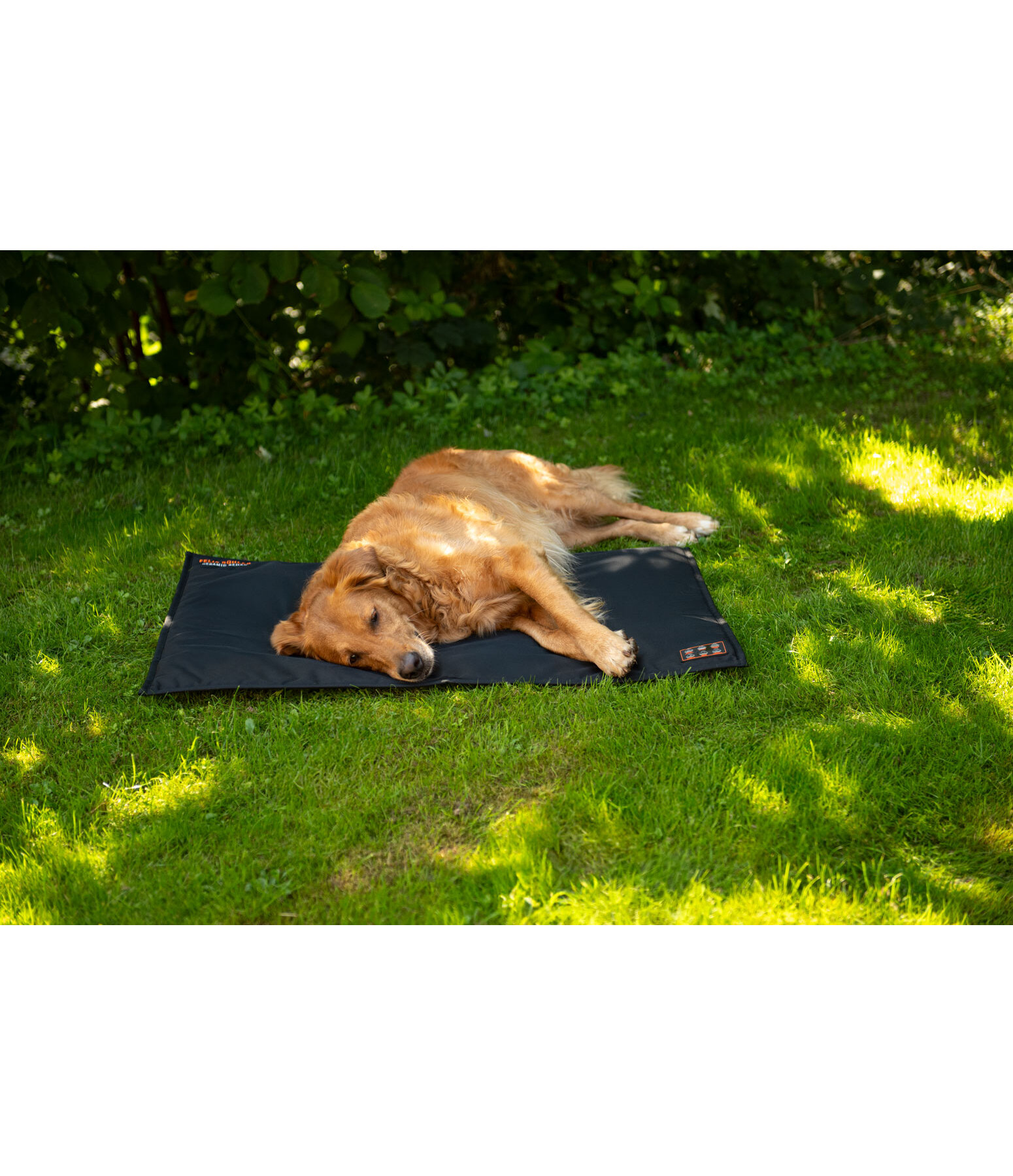 Coussin thermique pour chien  Ceramic Rehab