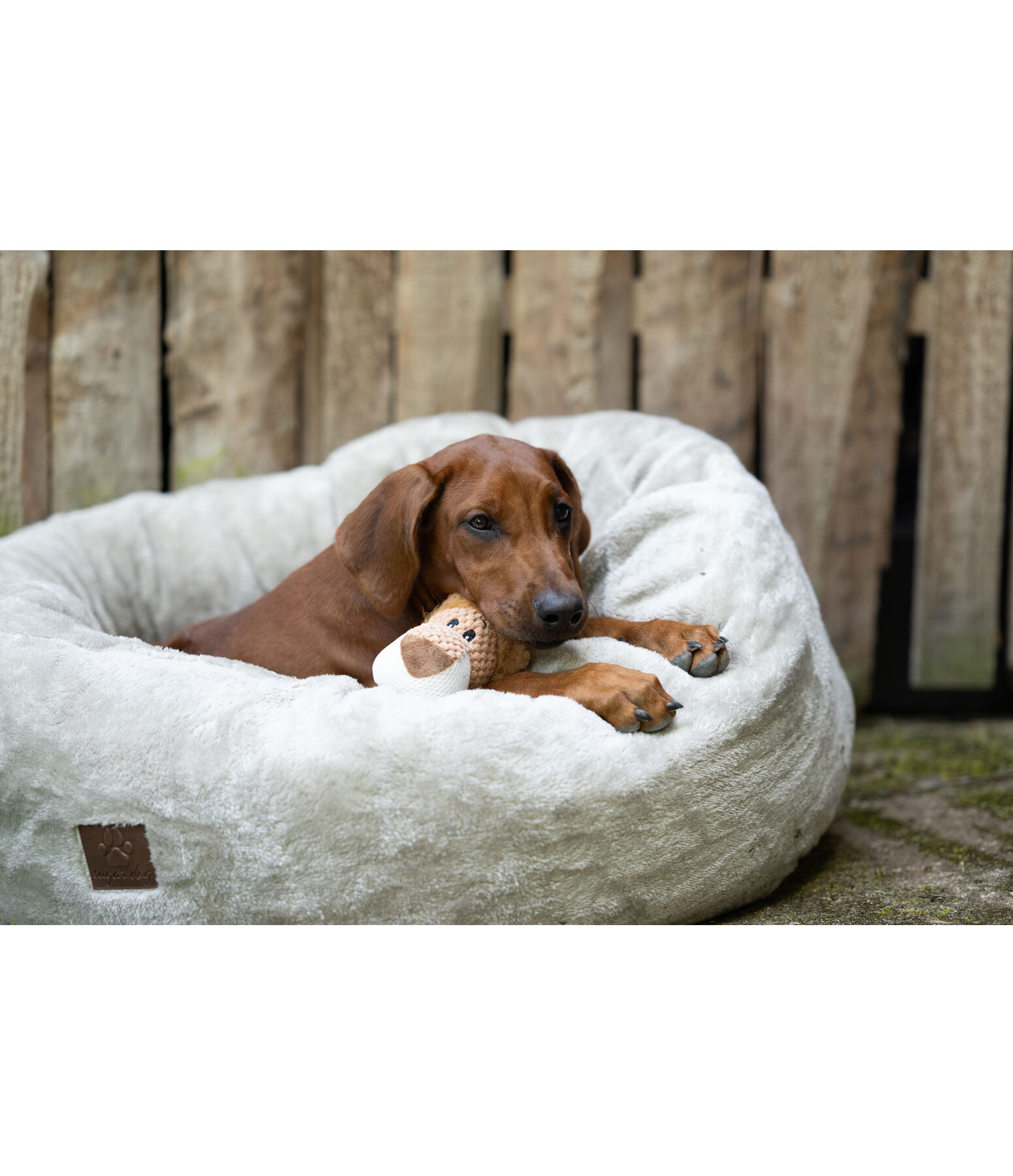 Peluche lion pour chien  Lio