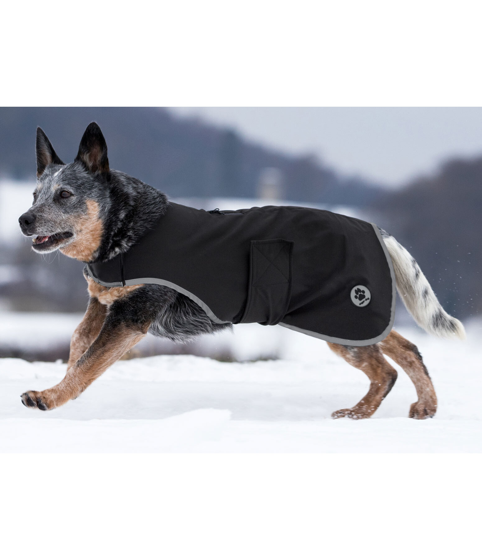 Manteau de randonnée en softshell pour chiens  Athlete, 0 g