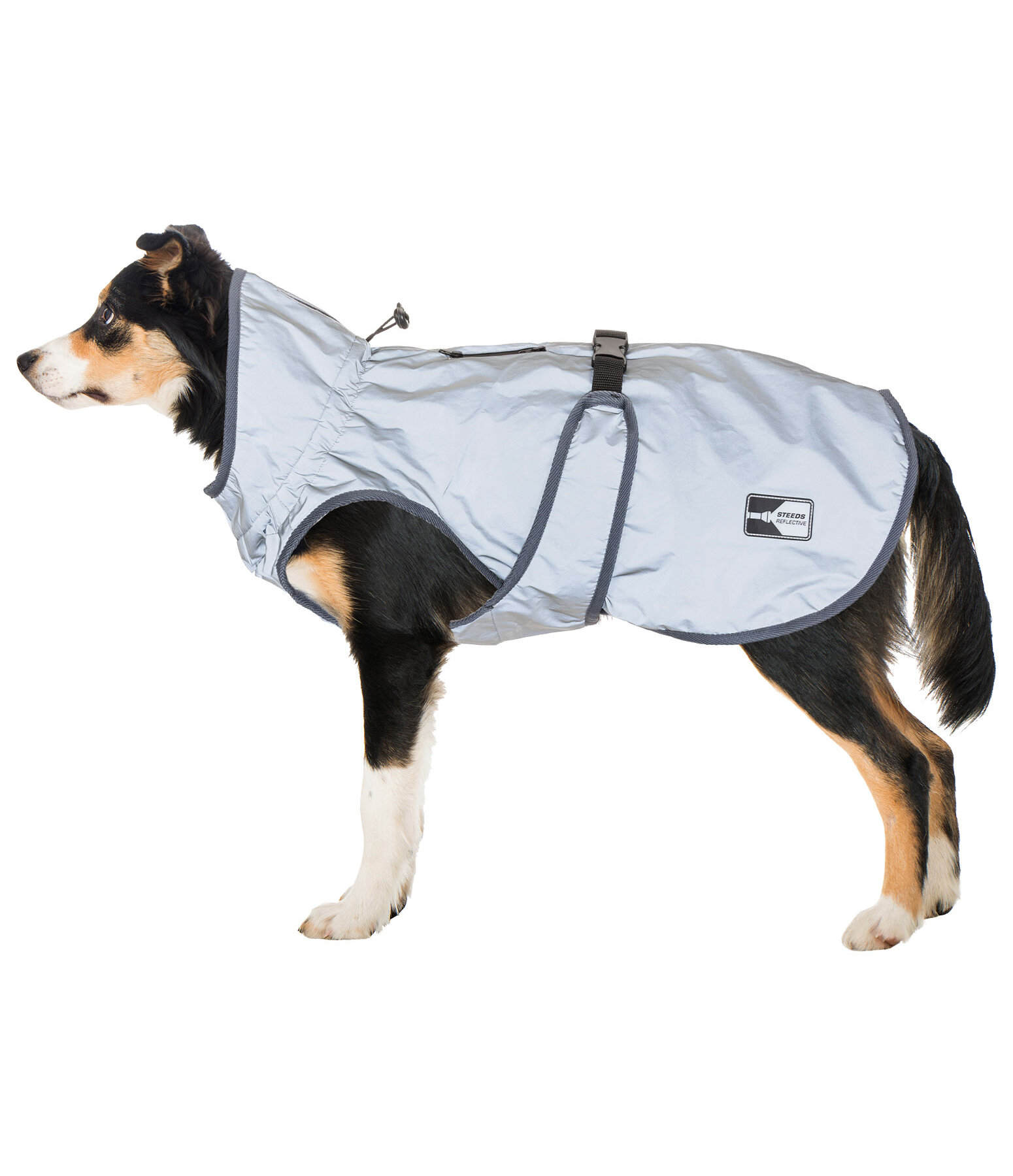 Manteau réfléchissant pour chien  Safety First, 0 g