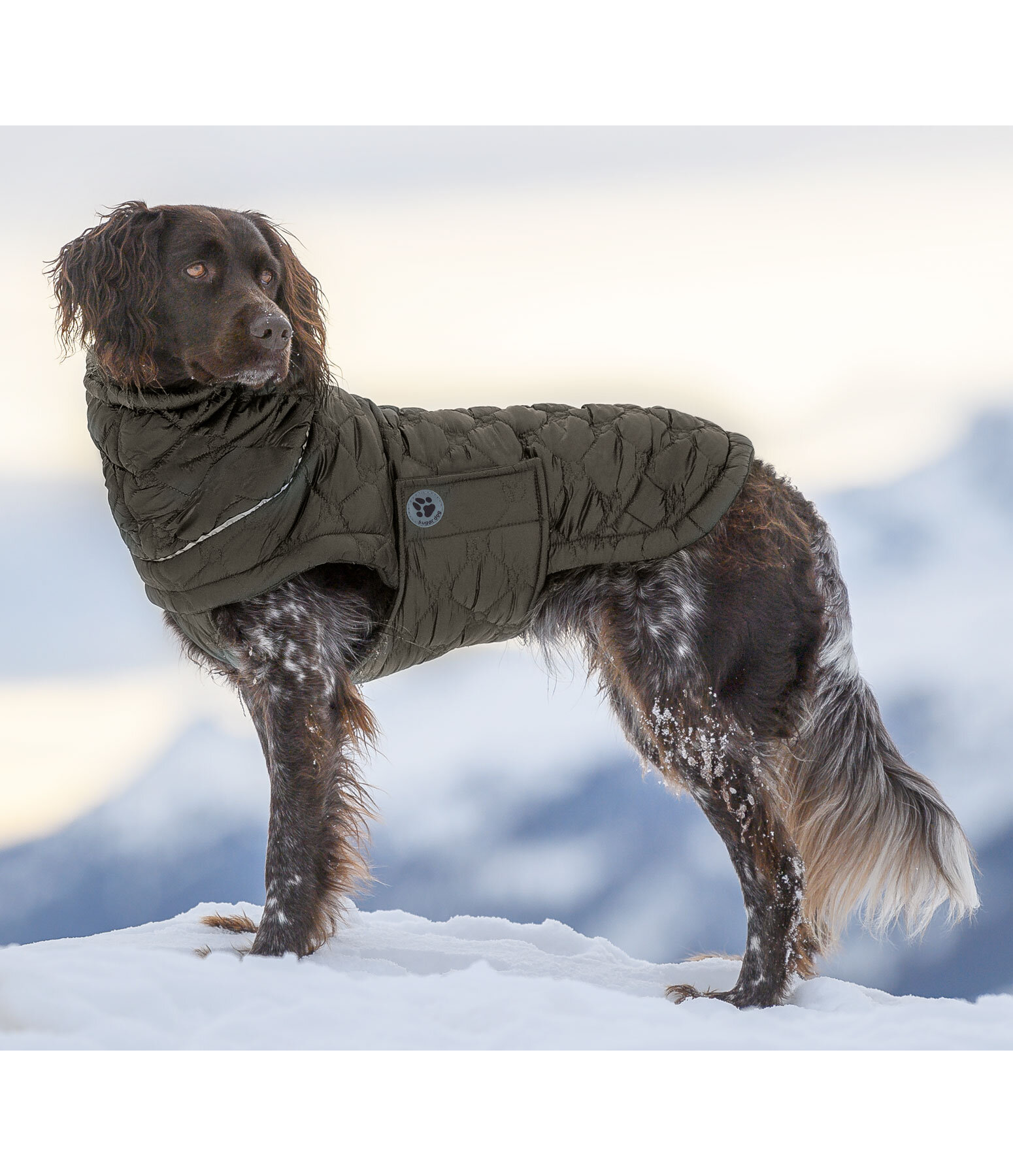 Manteau pour chiens léger matelassé avec doublure polaire  Cliff, 200 g