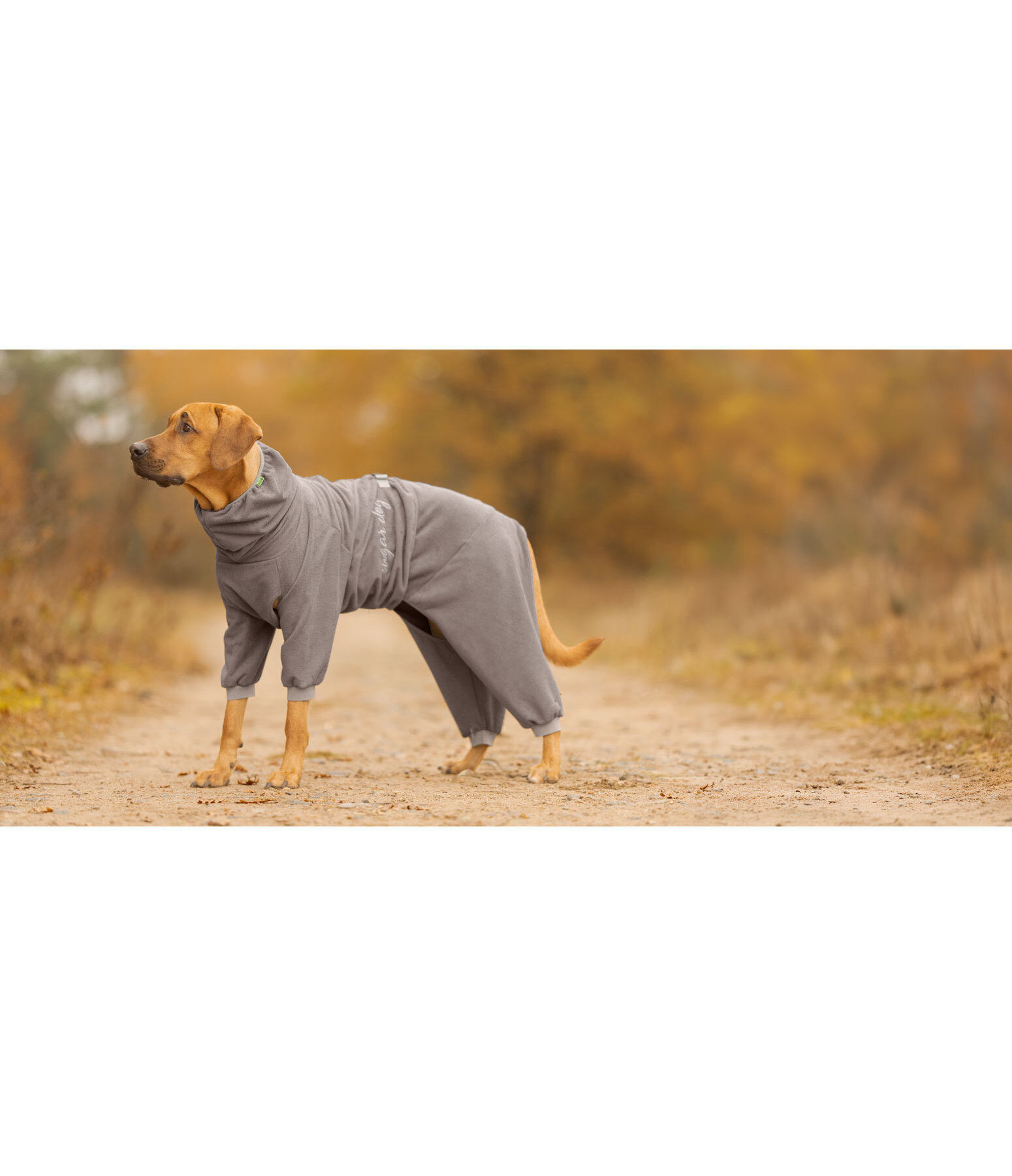 Peignoir pour chien  Allover Dry