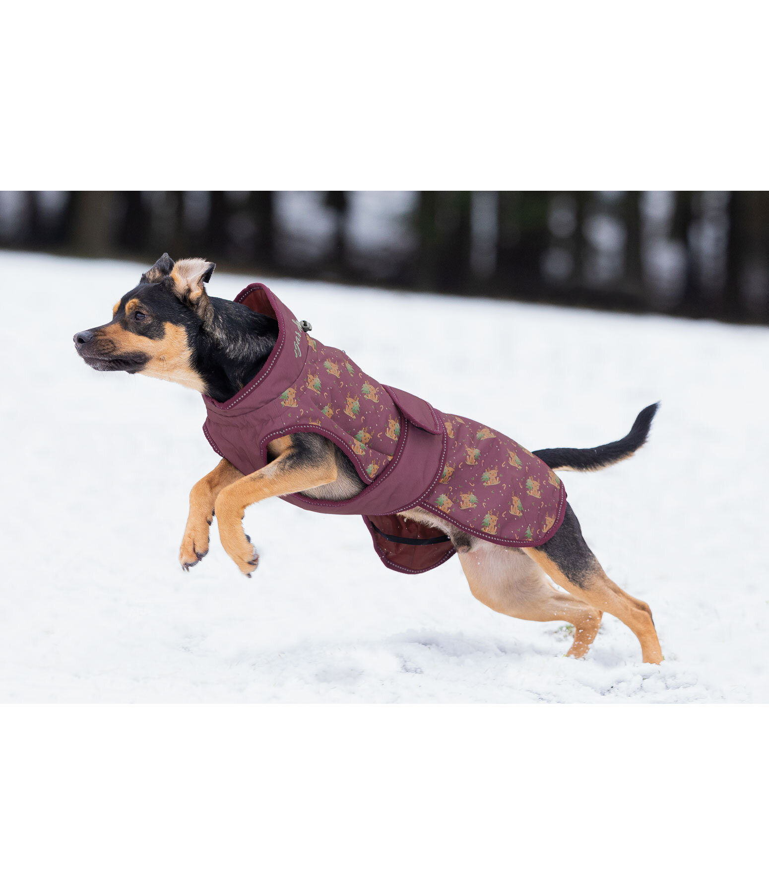 Manteau d'hiver pour chiens  Candy Cane, 120 g
