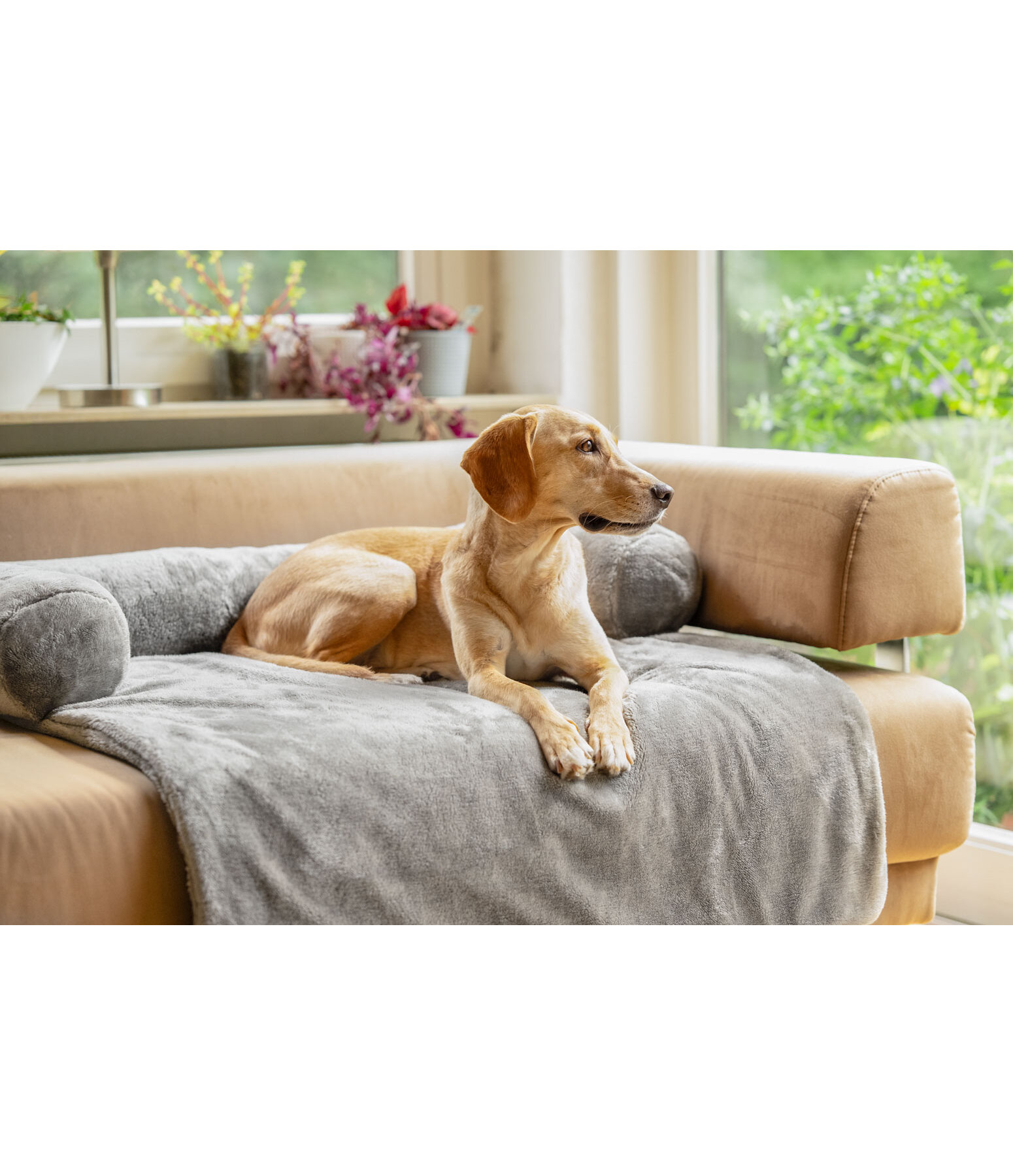 Couvre-canap�  Guard