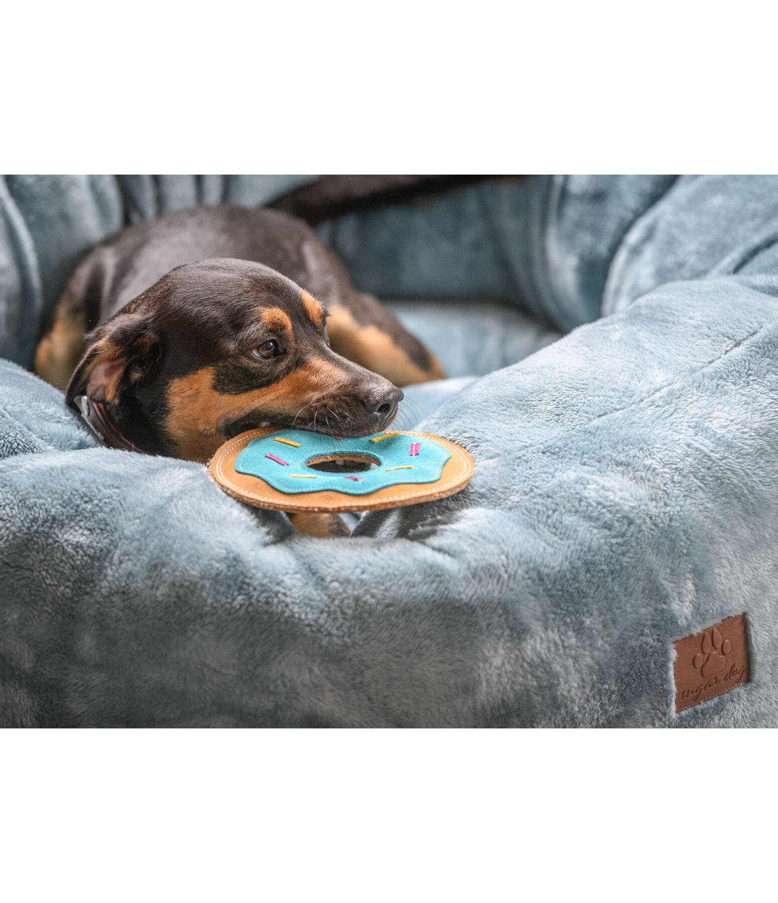 Frisbee en cuir pour chiens  Donut
