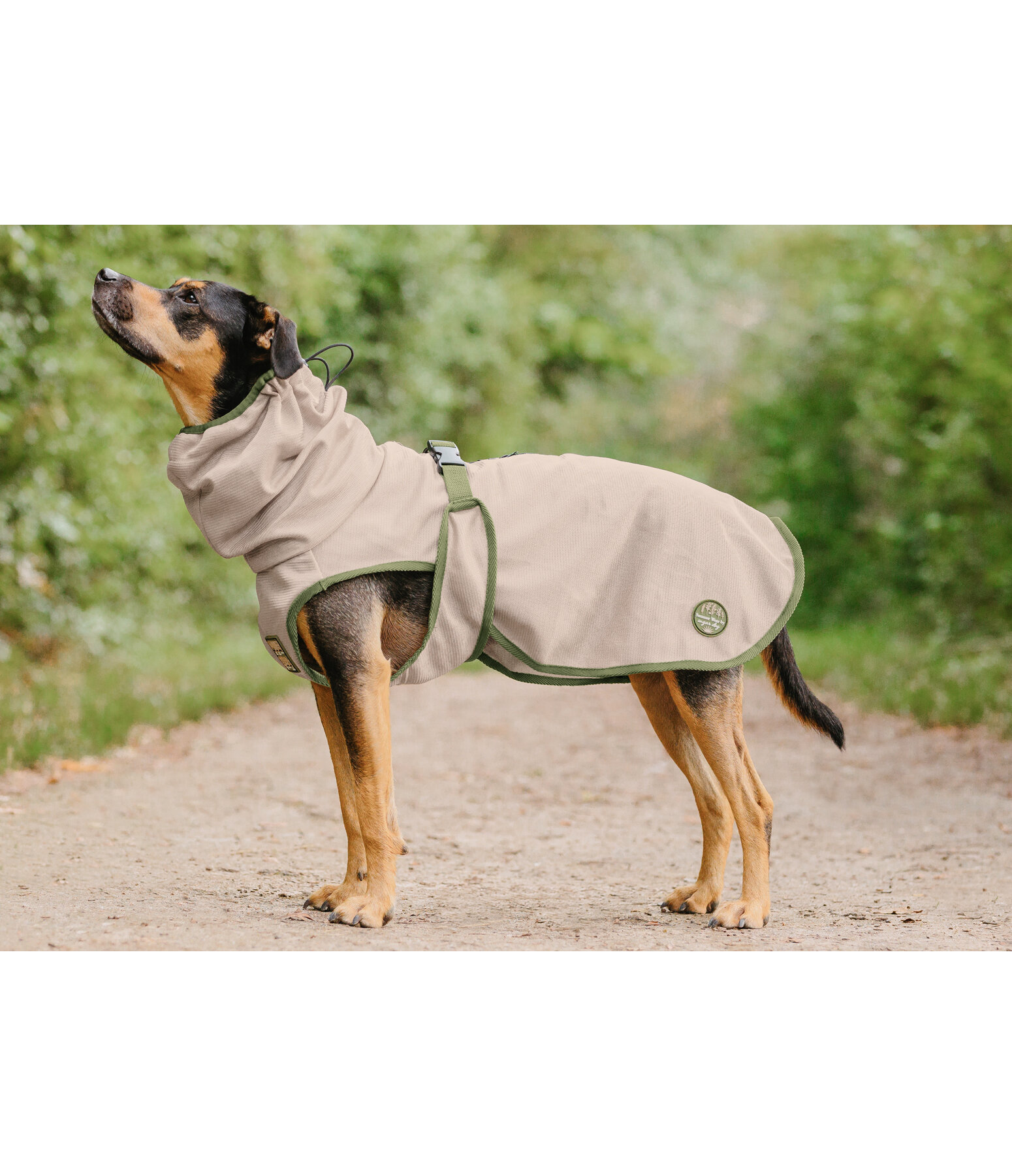 Manteau anti-mouches pour chien  Taiga