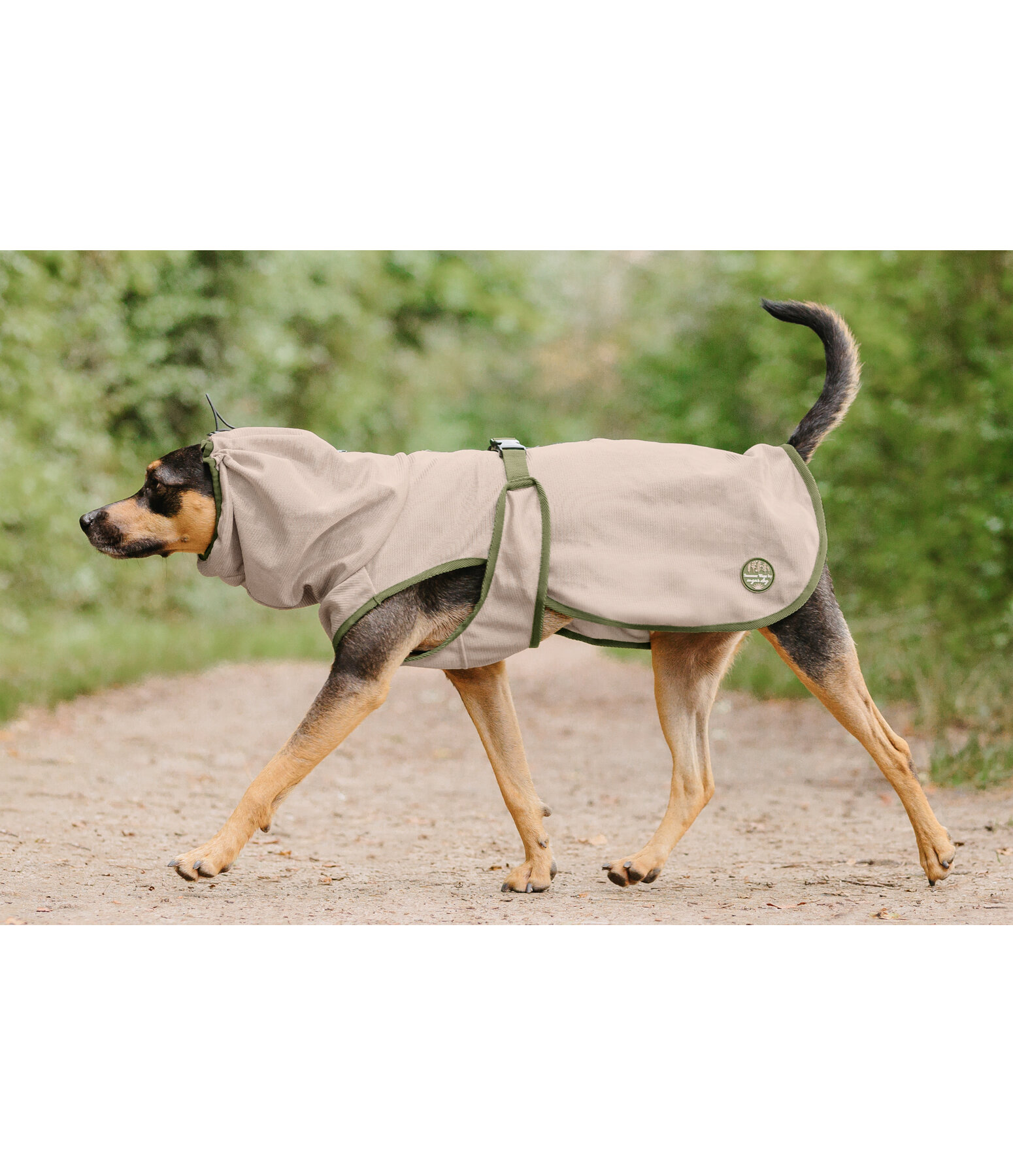 Manteau anti-mouches pour chien  Taiga