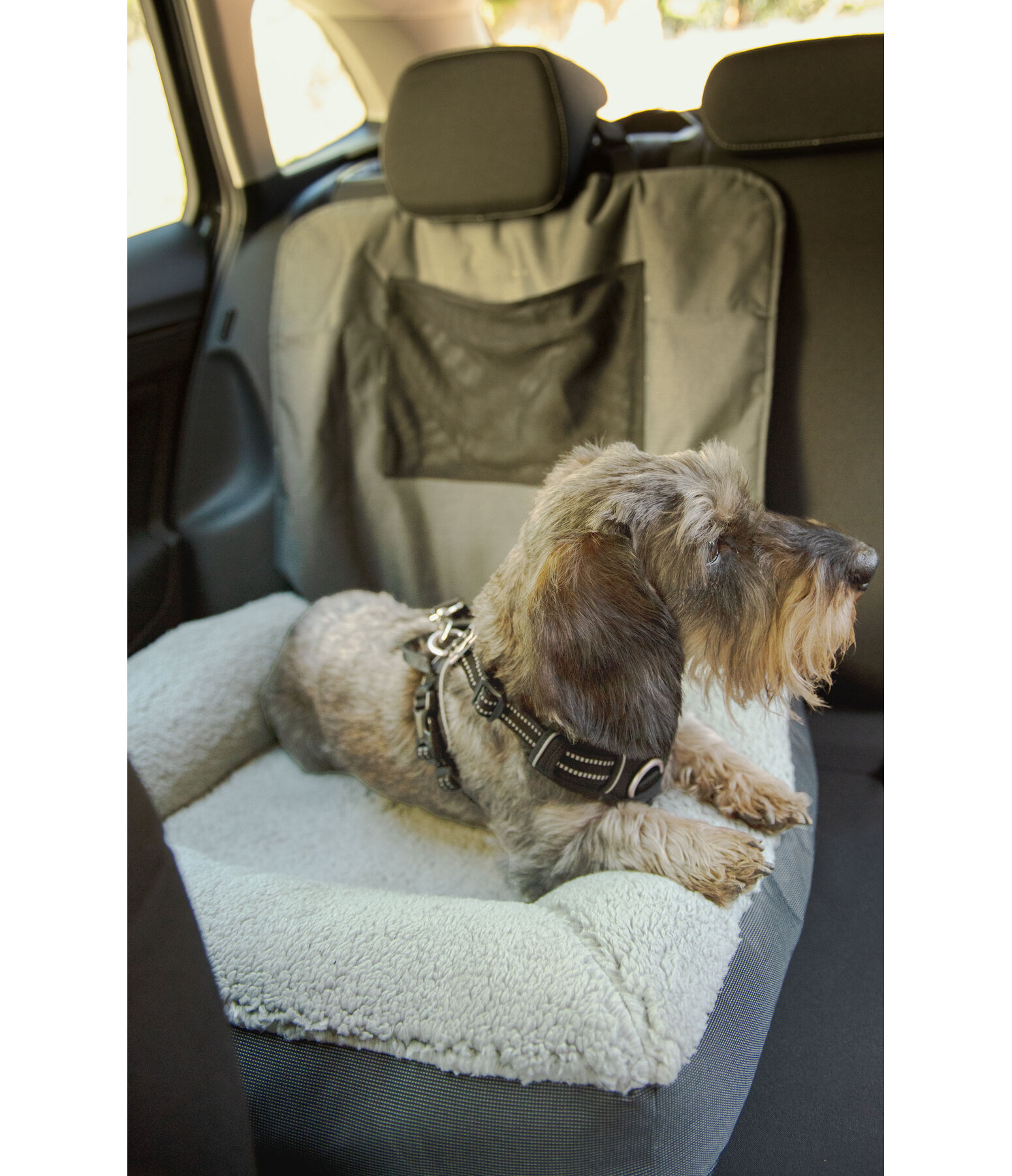 Coussin si�ge-auto pour chien  Maine