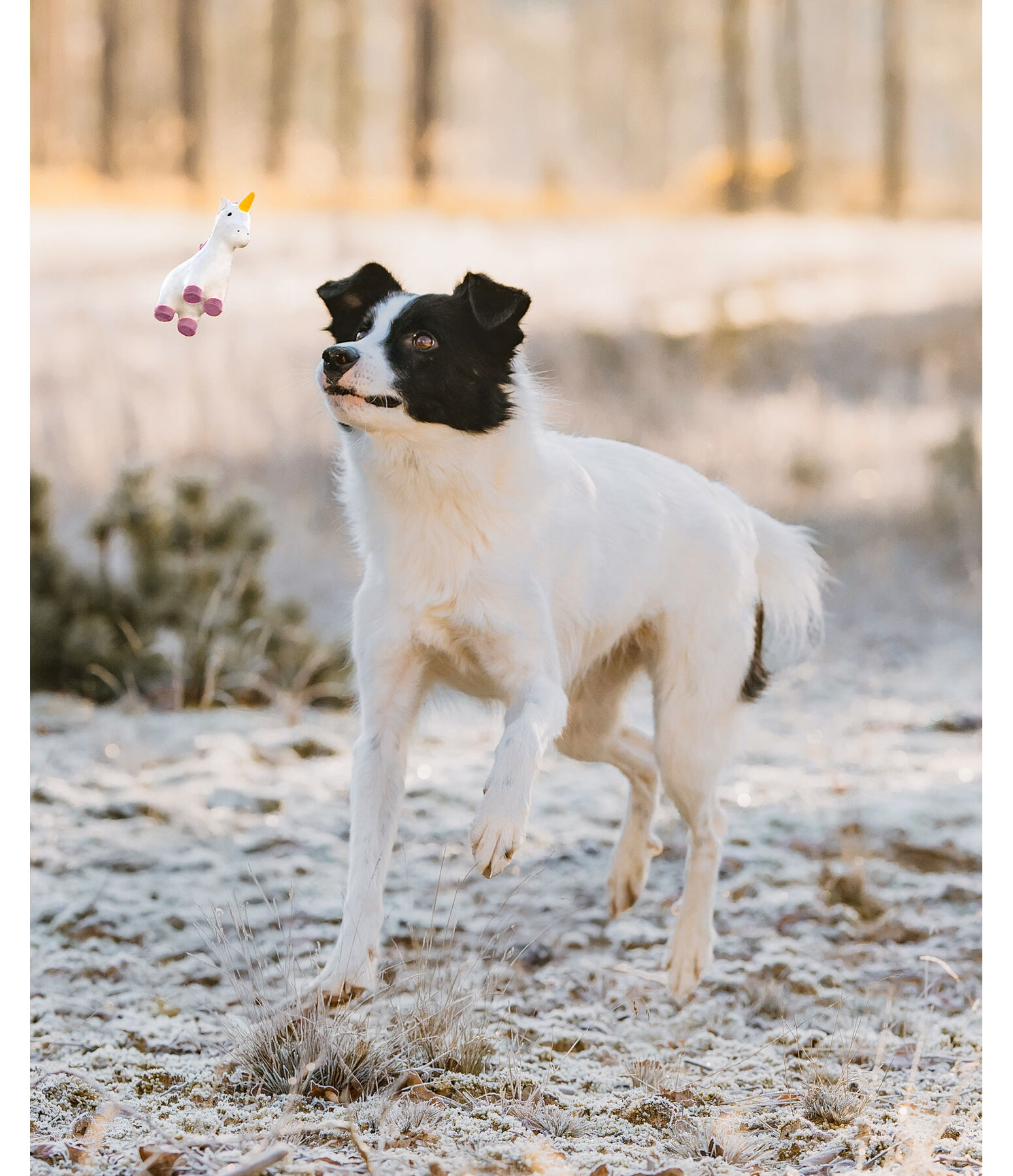 Jouet pour chien avec couineur   Unicorn