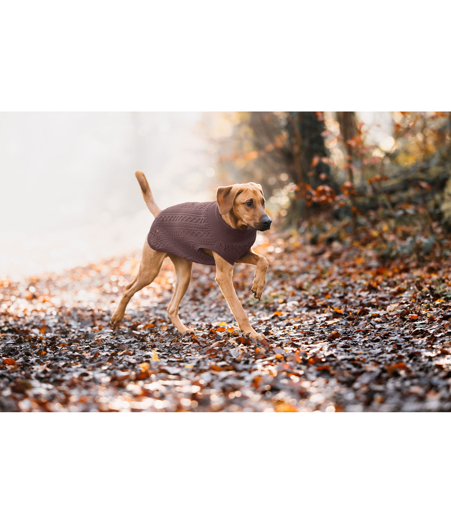 Pull col roul  Maisie