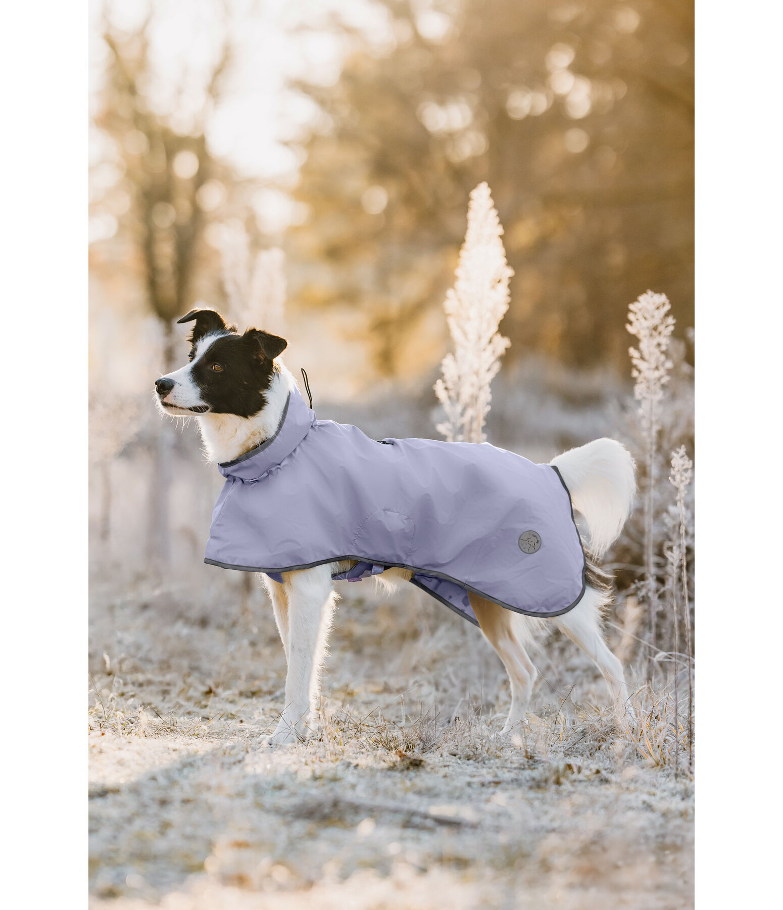 Manteau de pluie pour chien  Thousand Islands, 0 g