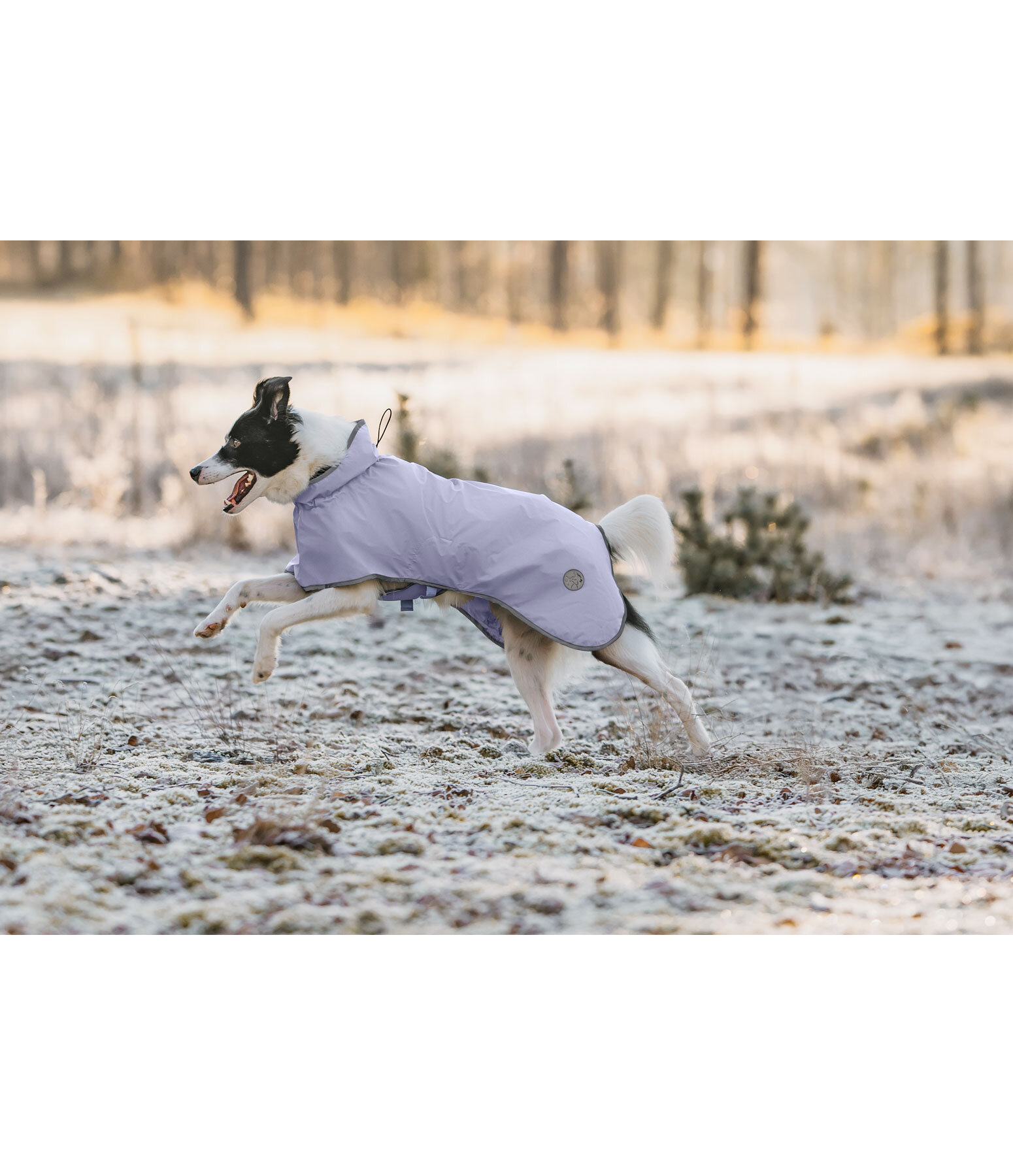 Manteau de pluie pour chien  Thousand Islands, 0 g