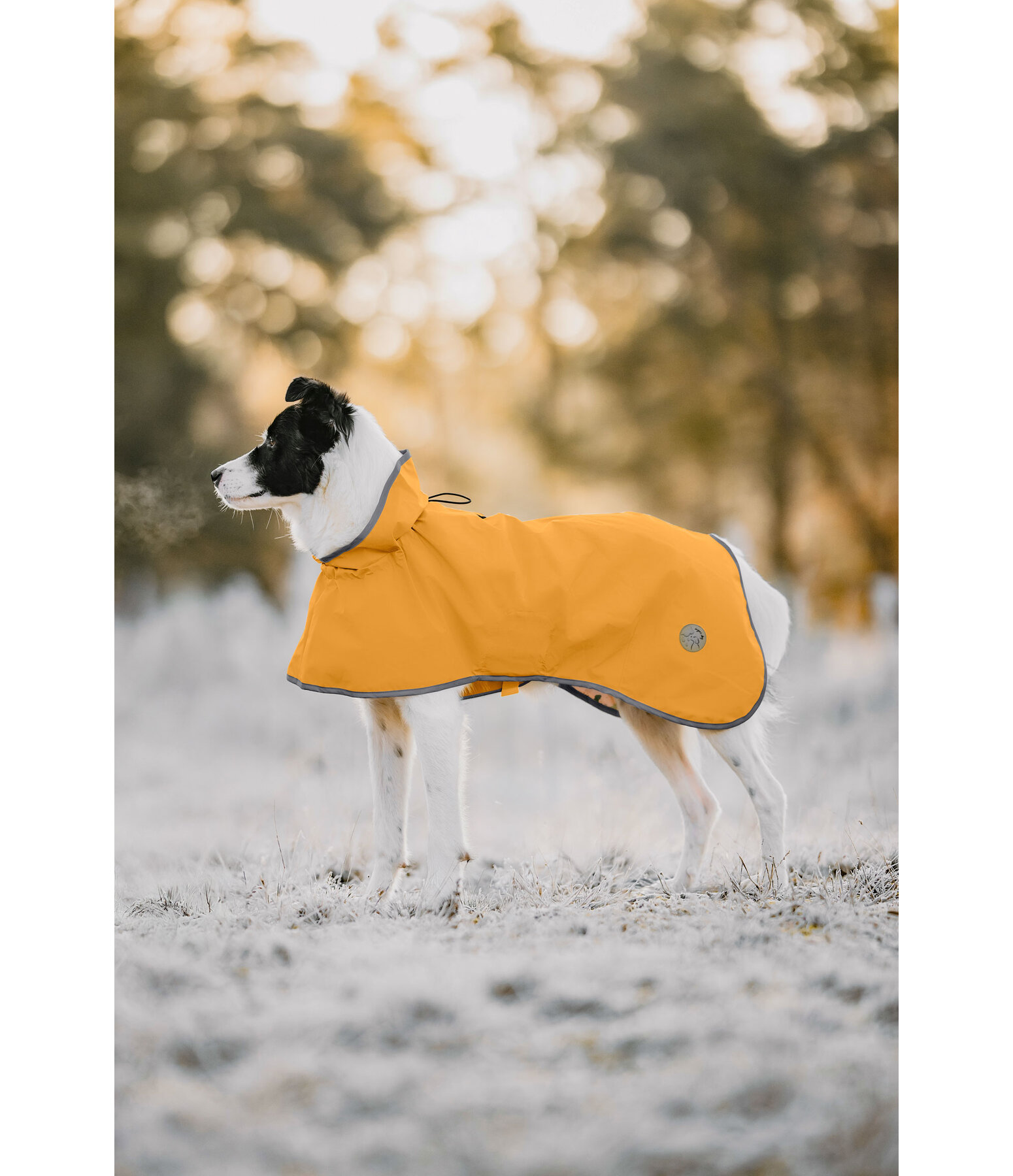 Manteau de pluie pour chien  Thousand Islands, 0 g