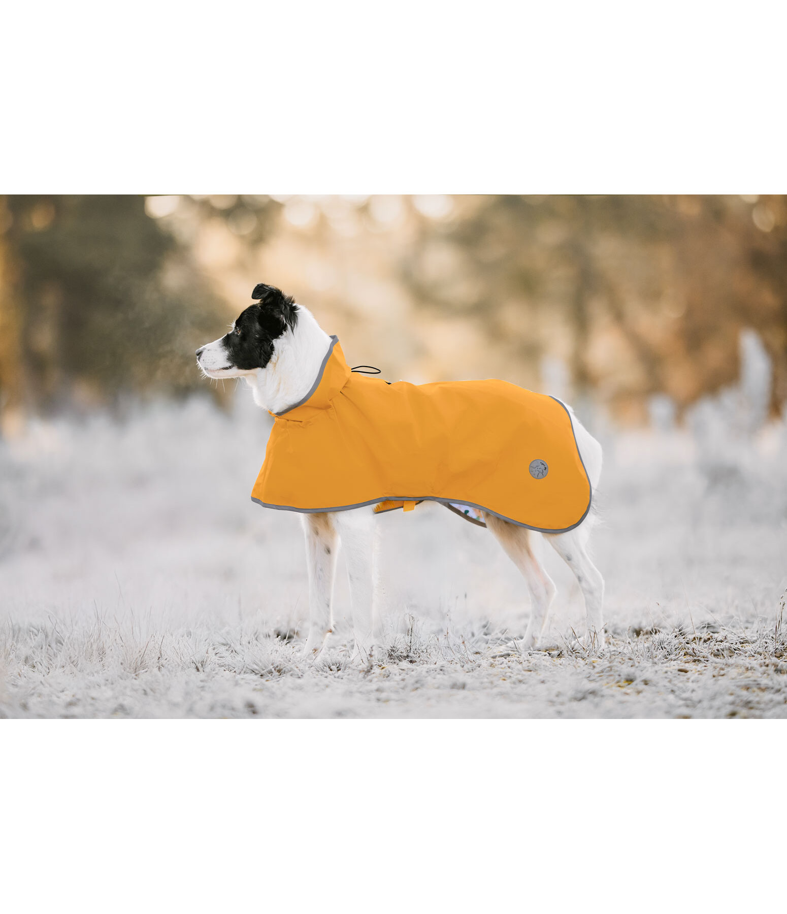 Manteau de pluie pour chien  Thousand Islands, 0 g