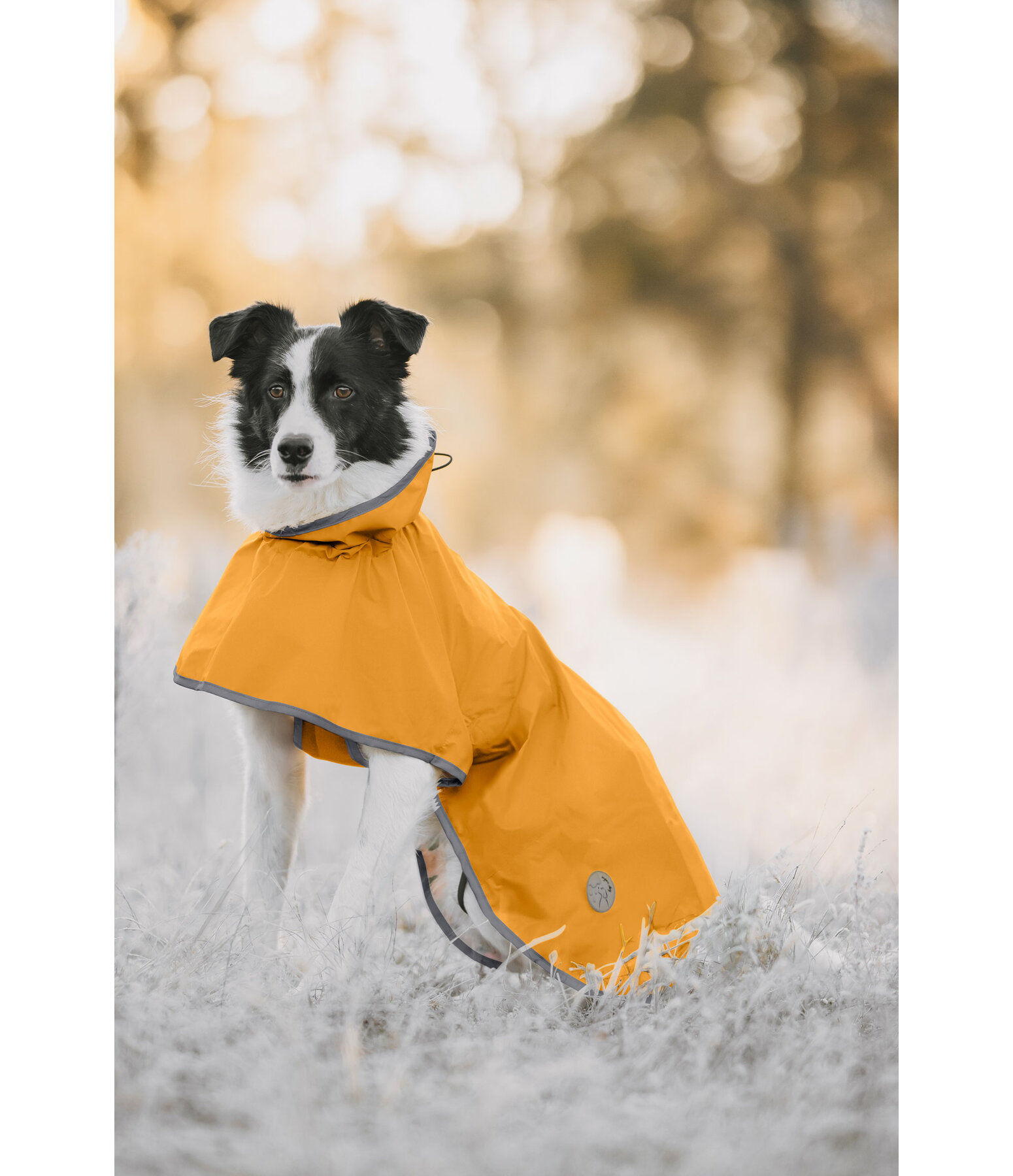 Manteau de pluie pour chien  Thousand Islands, 0 g