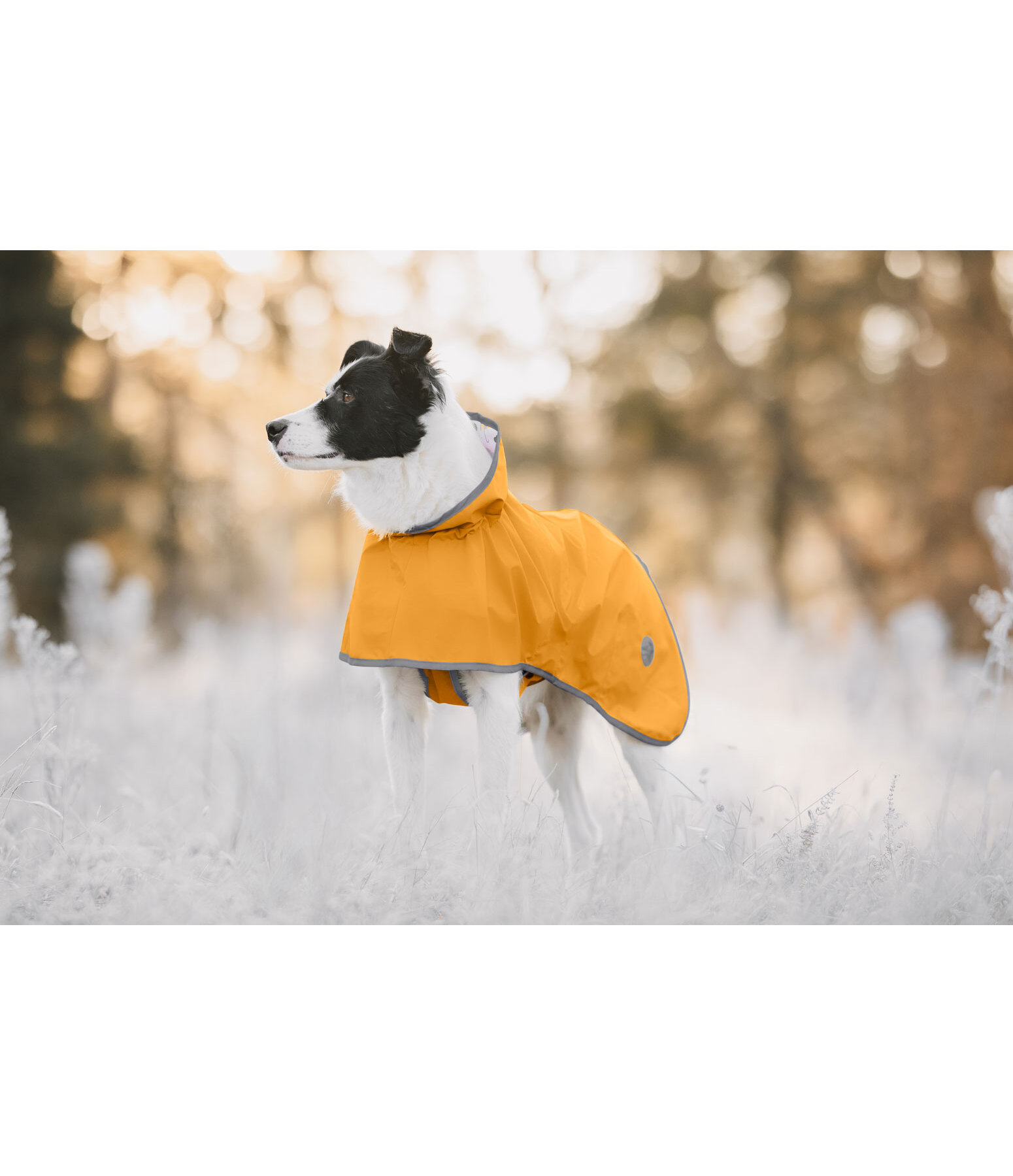 Manteau de pluie pour chien  Thousand Islands, 0 g